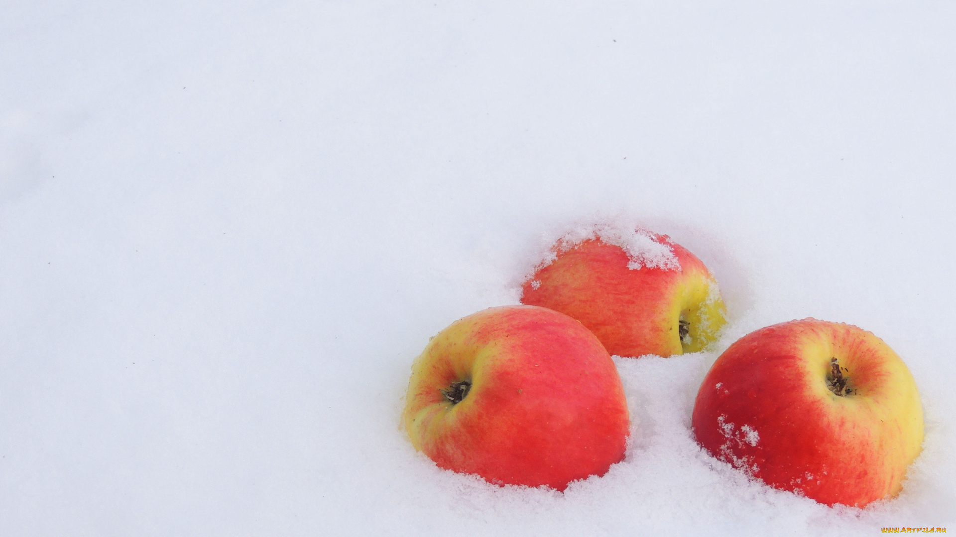 еда, Яблоки, румяные, плоды, трио, снег