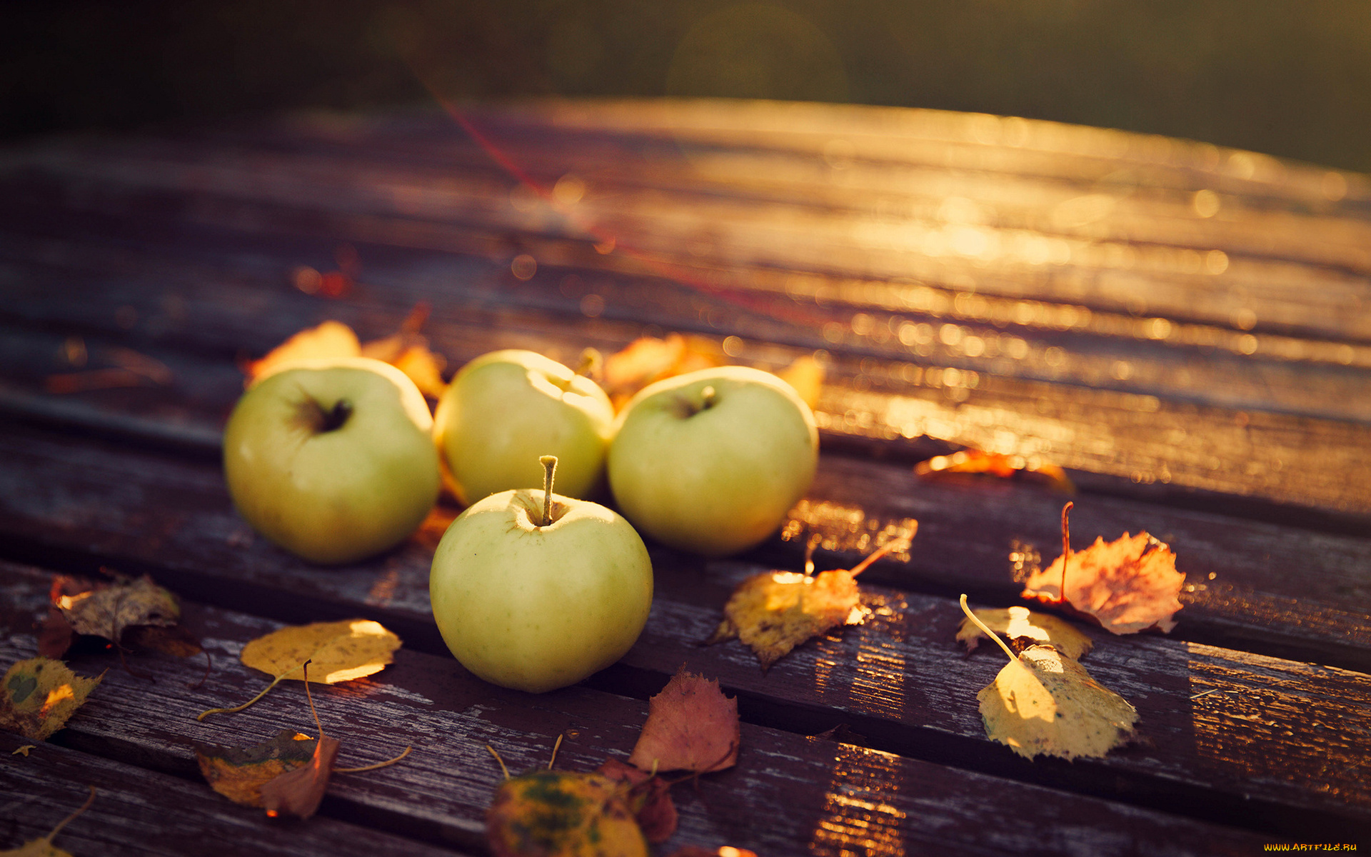 еда, Яблоки, плоды, осень, листья