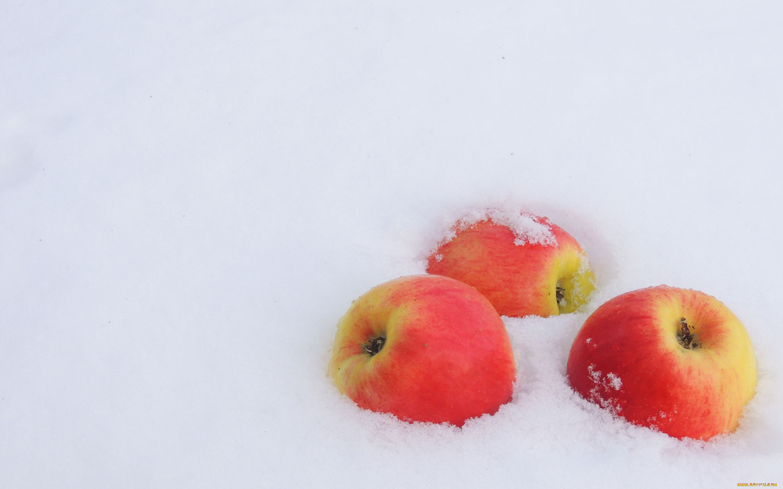еда, Яблоки, румяные, плоды, трио, снег