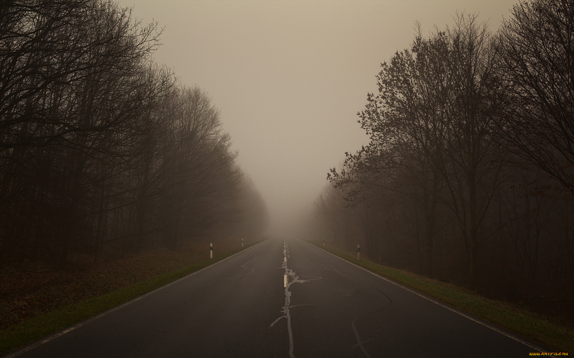 природа, дороги, дорога, туман