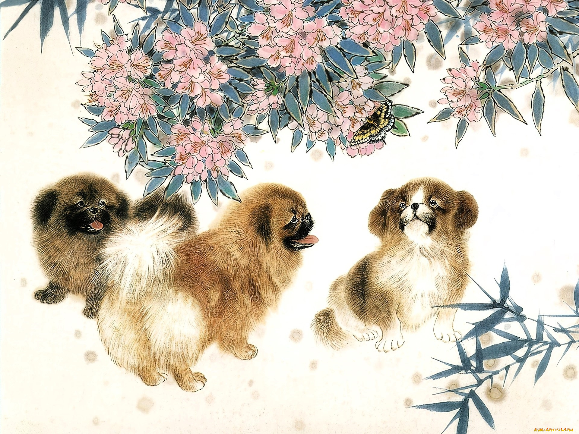 рисованное, животные, , собаки, собаки, пекинесы, цветы
