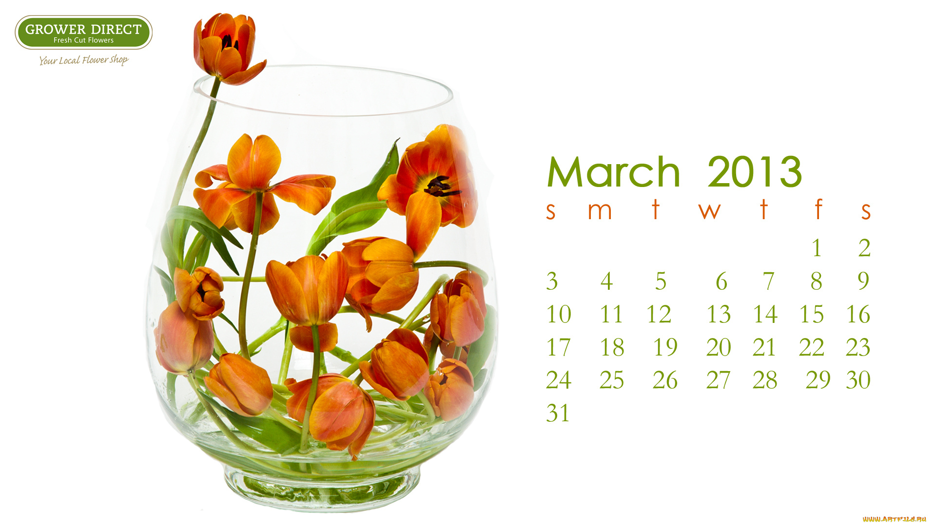 календари, цветы, тюльпаны