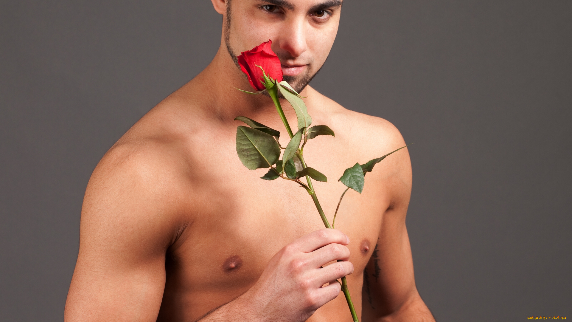 мужчины, -, unsort, тело, торс, цветок, роза