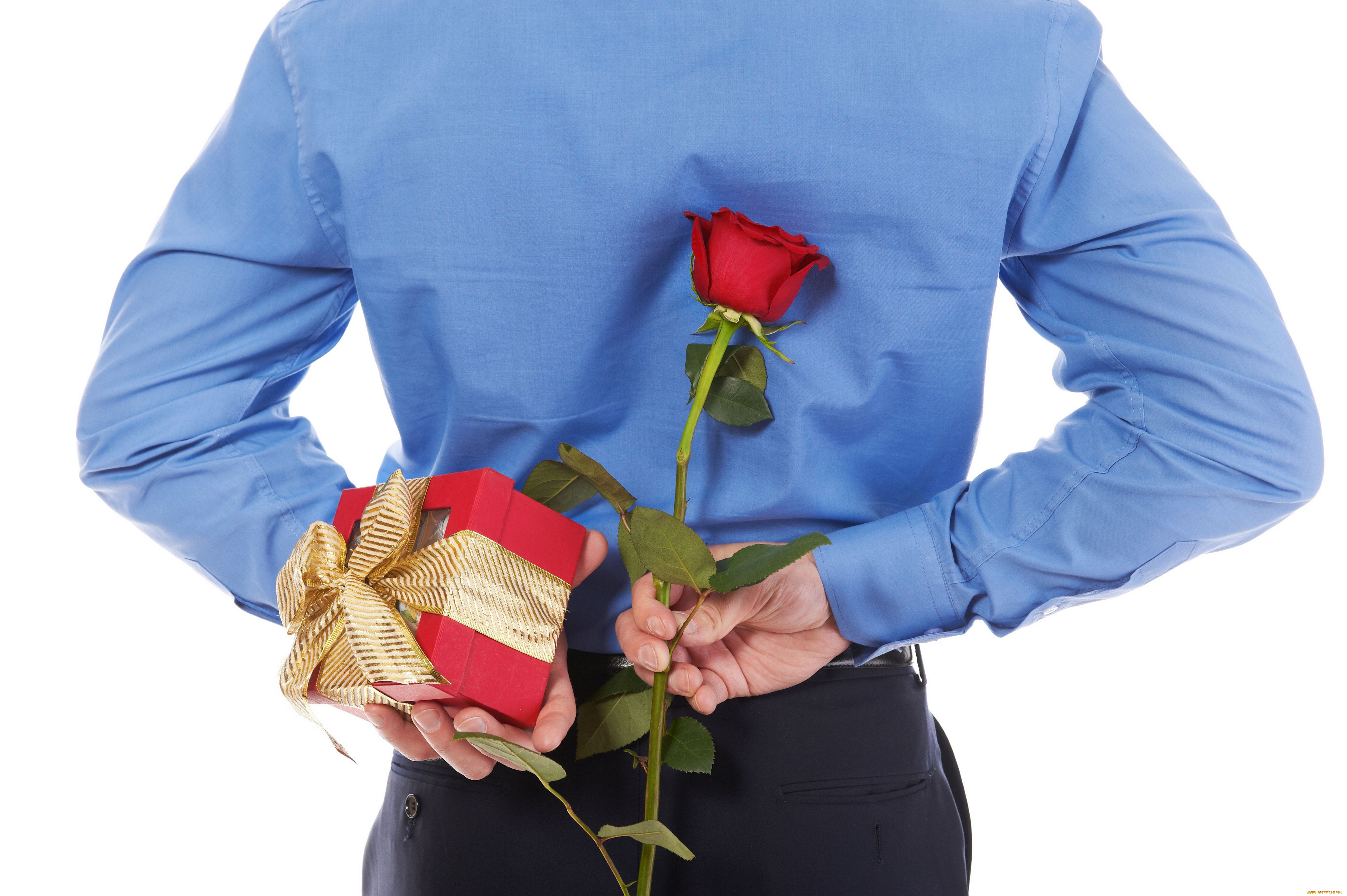 мужчины, -, unsort, рубашка, коробочка, подарок, спина, цветок, роза
