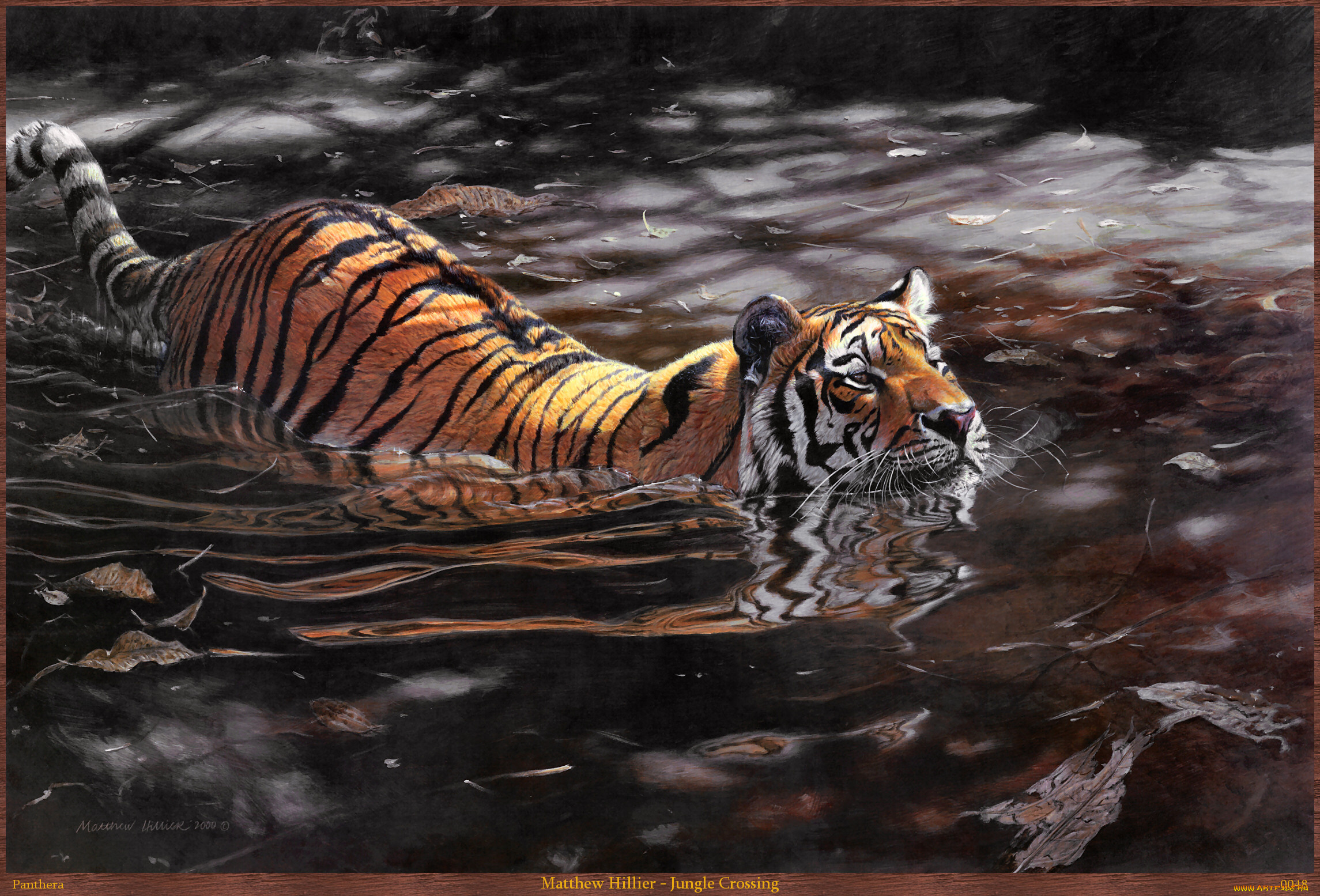 matthew, hillier, jungle, crossing, рисованные, вода, тигр