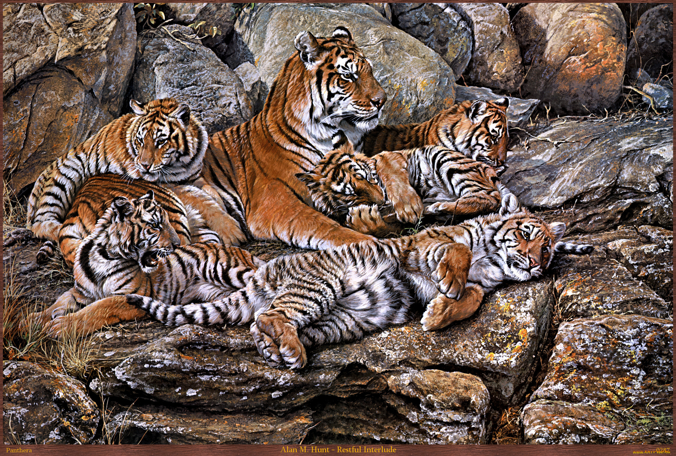 alan, hunt, restful, interlude, рисованные, камни, тигрята, тигрица, m