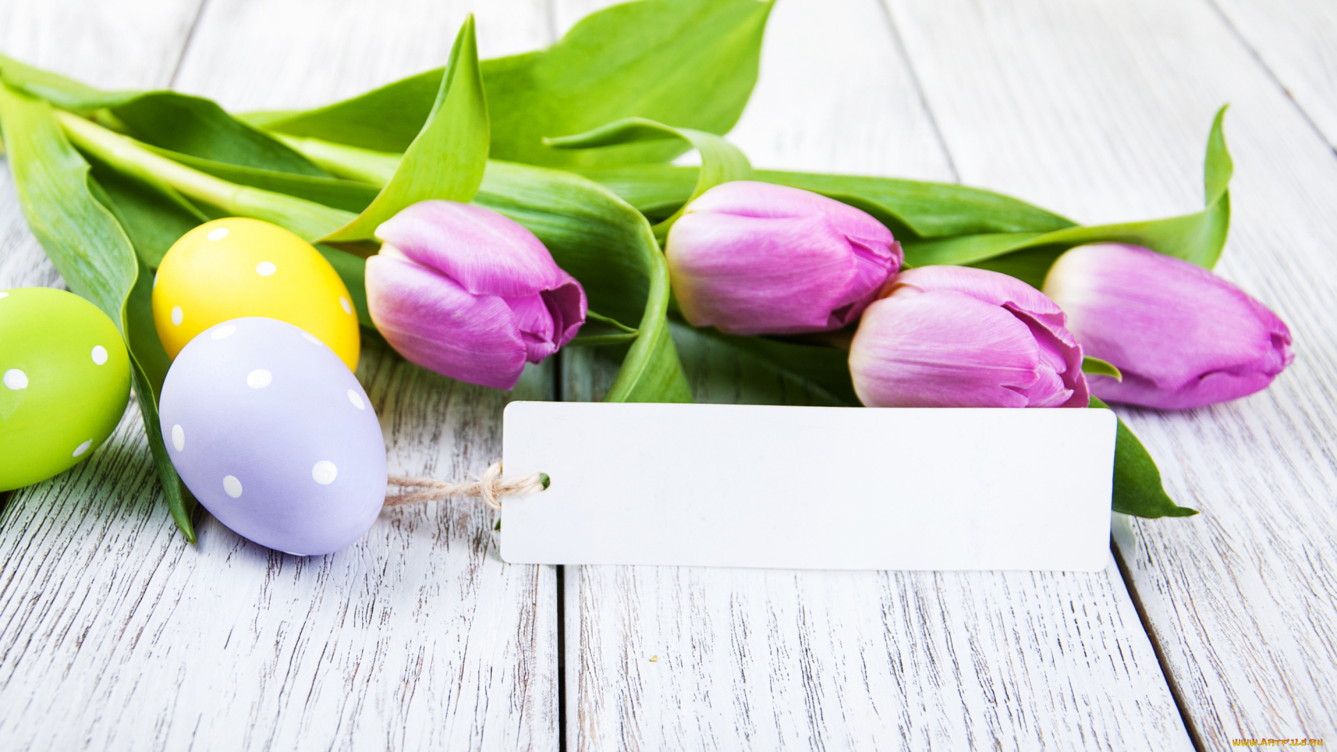 праздничные, пасха, цветы, тюльпаны, happy, flowers, tulips, easter, purple, eggs