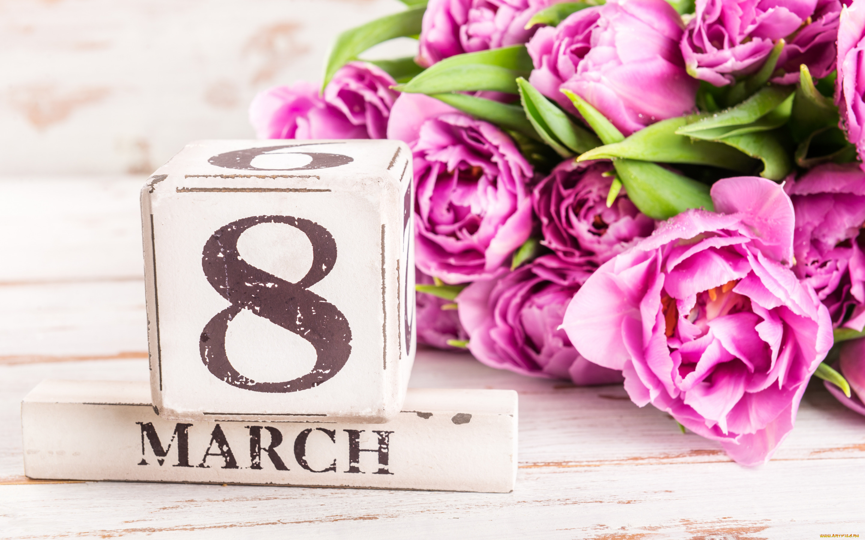 праздничные, международный, женский, день, -, 8, марта, цветы, тюльпаны, розовые, 8, марта, pink, tulips, march