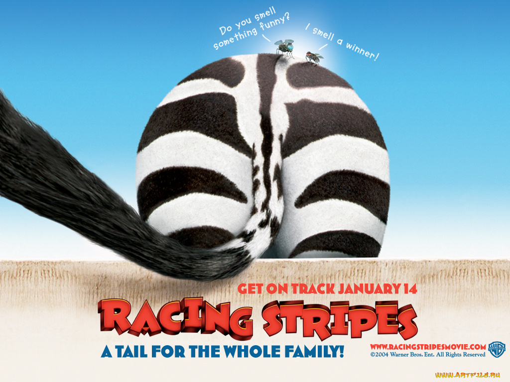 racing, stripes, 04, мультфильмы