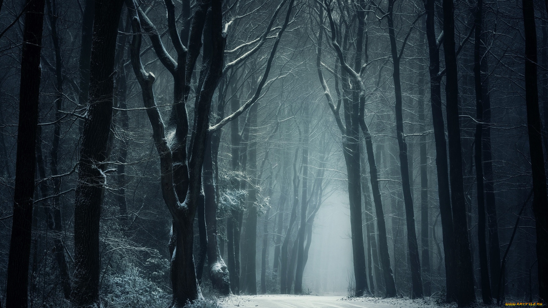 природа, дороги, снег, деревья, дорога, зима