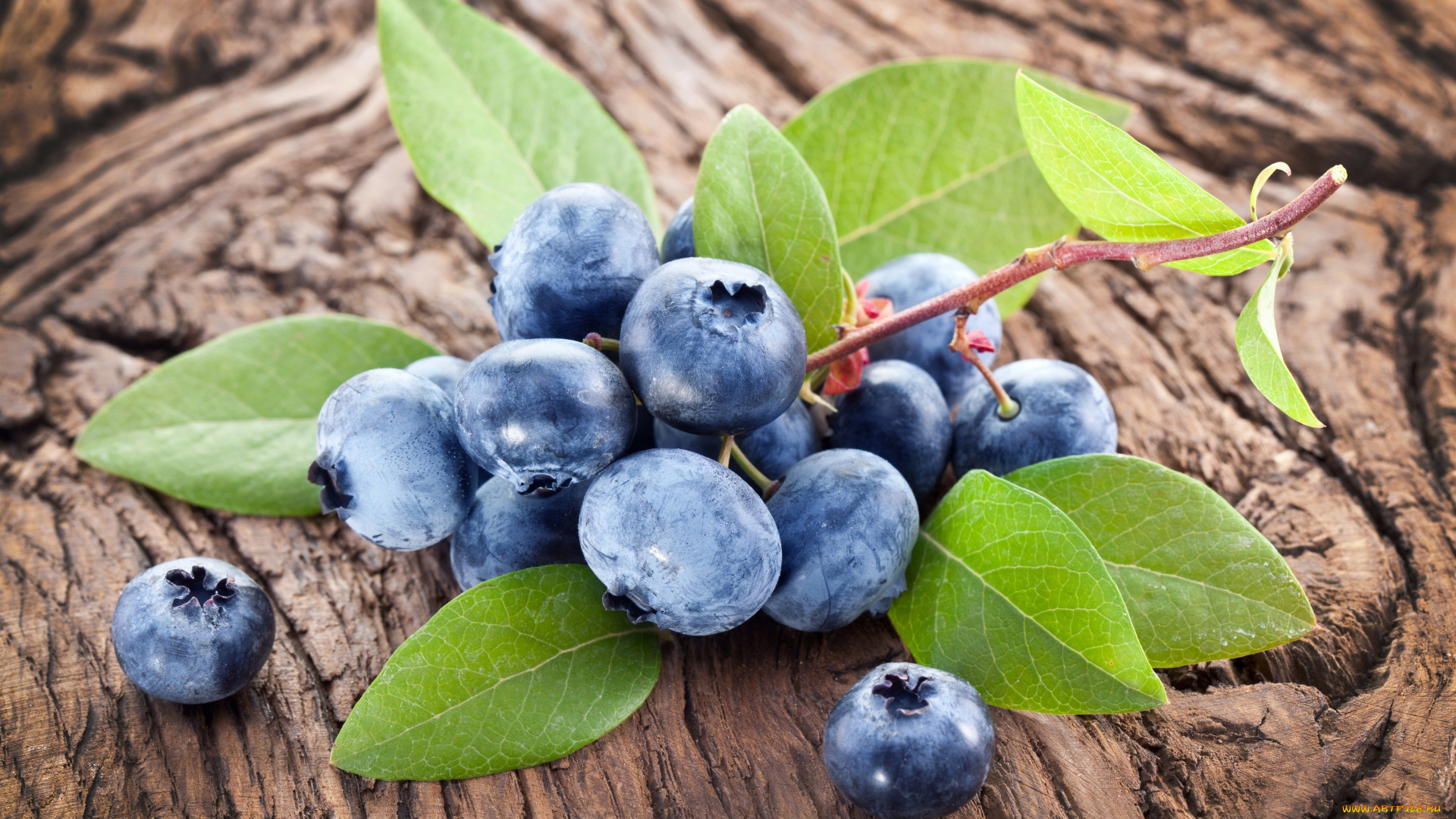 еда, голубика, , черника, blueberry, fresh, berries, wood, ягоды, черника