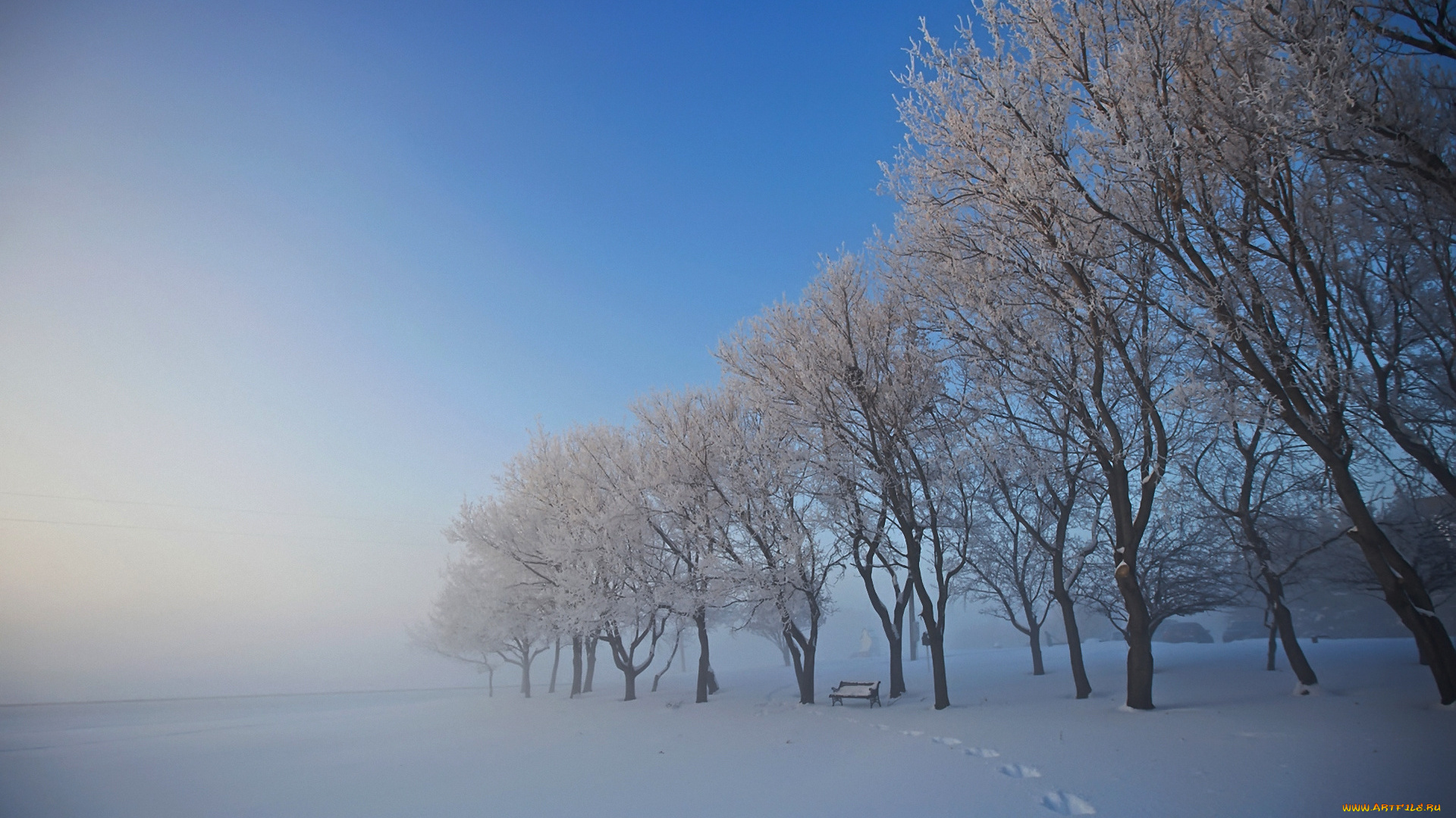 природа, зима, следы, туман, лавочка, деревья, снег