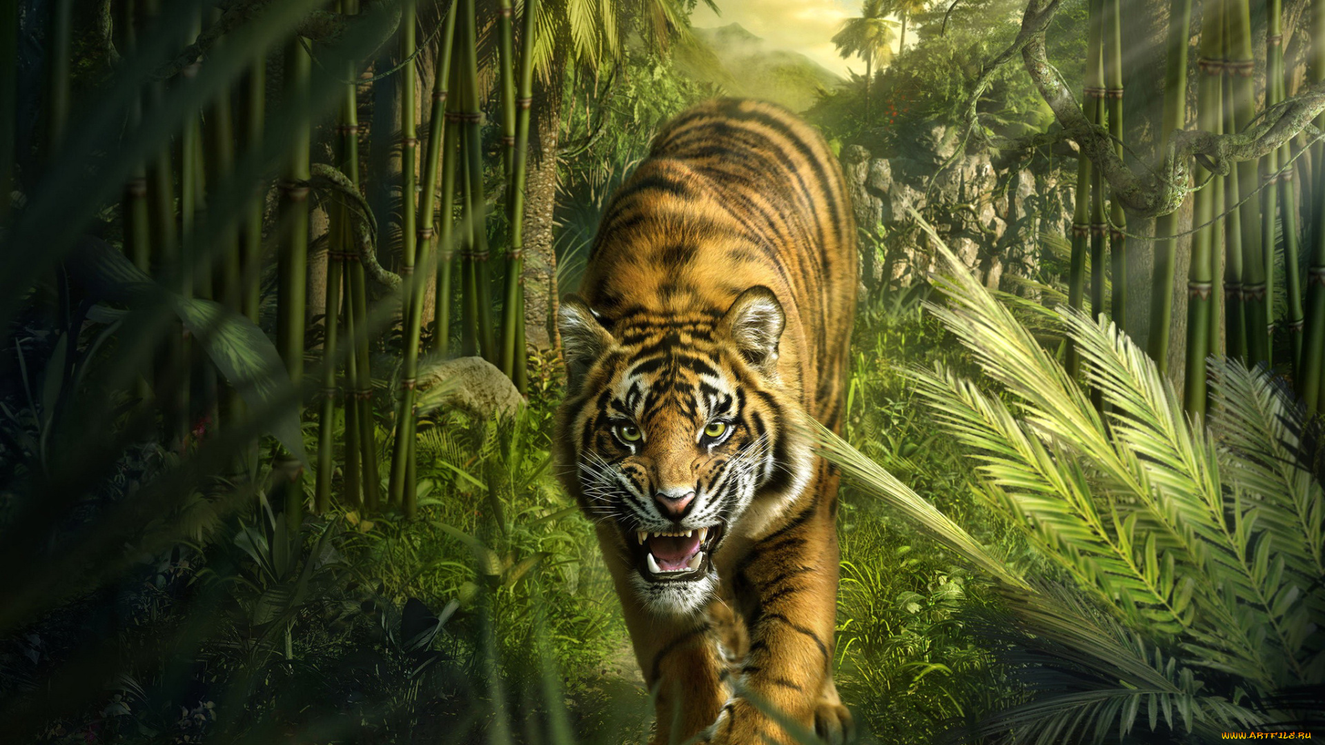 животные, тигры, тигр, джунгли