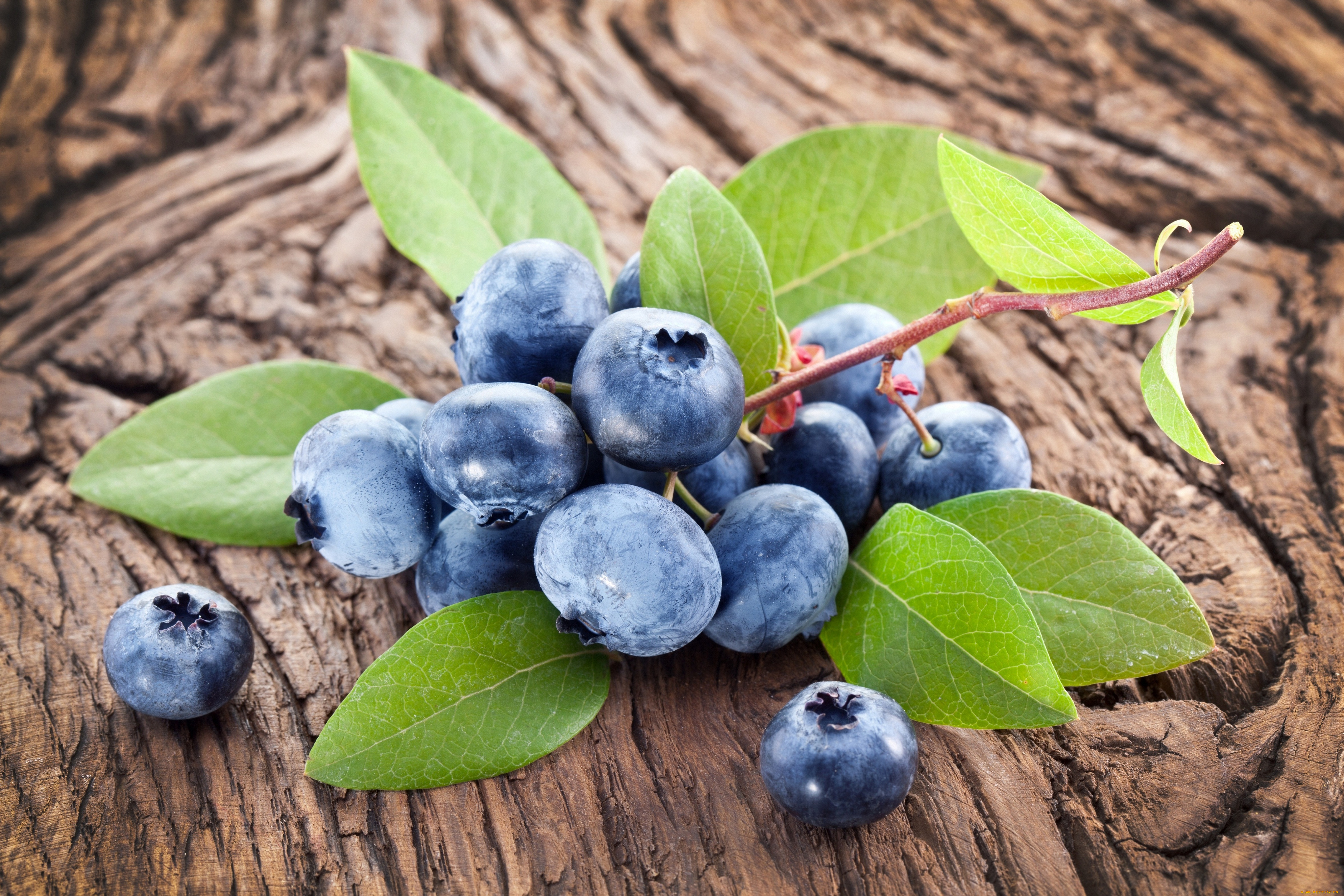 еда, голубика, , черника, blueberry, fresh, berries, wood, ягоды, черника