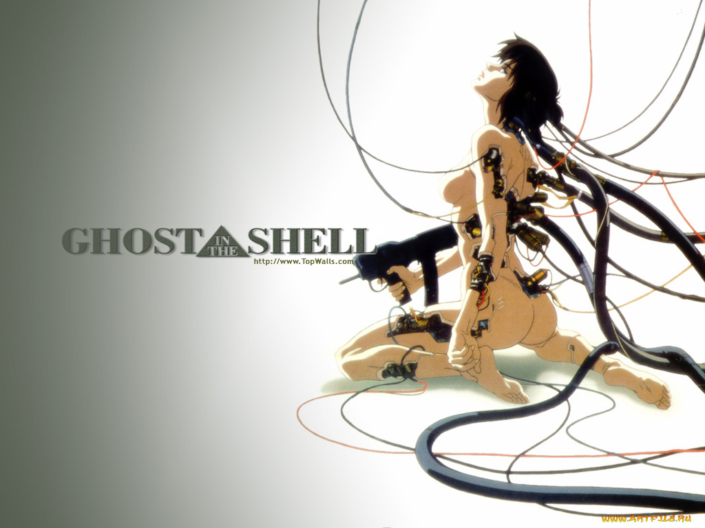 аниме, ghost, in, the, shell