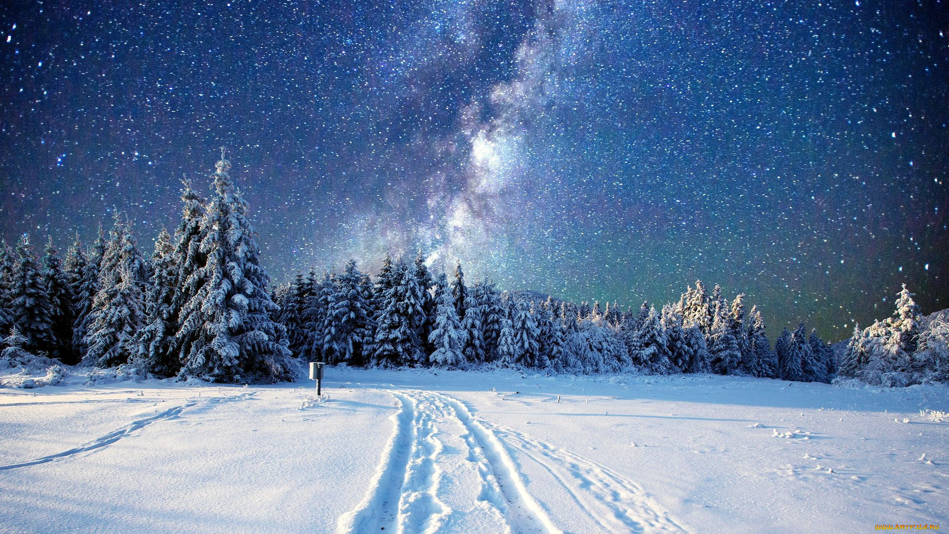 природа, зима, небо, дорога, снег, деревья, звездное