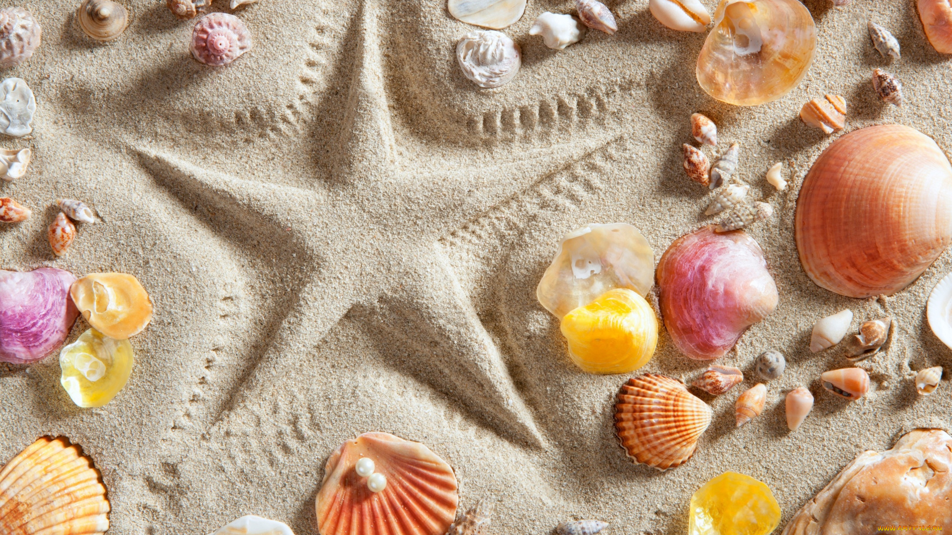 разное, ракушки, , кораллы, , декоративные, и, spa-камни, песок, звезда