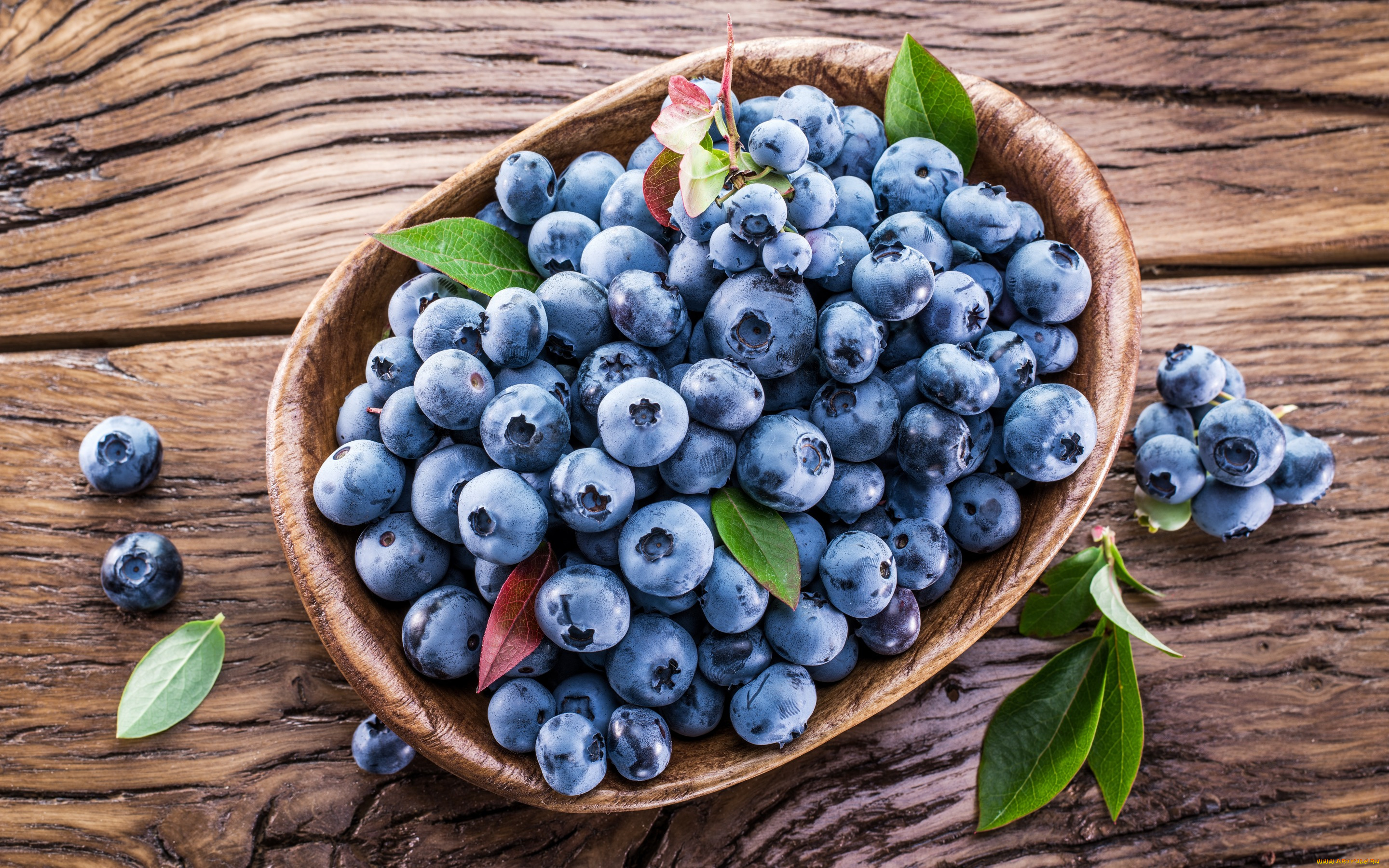 еда, голубика, , черника, berries, blueberry, ягоды, черника, корзинка, fresh