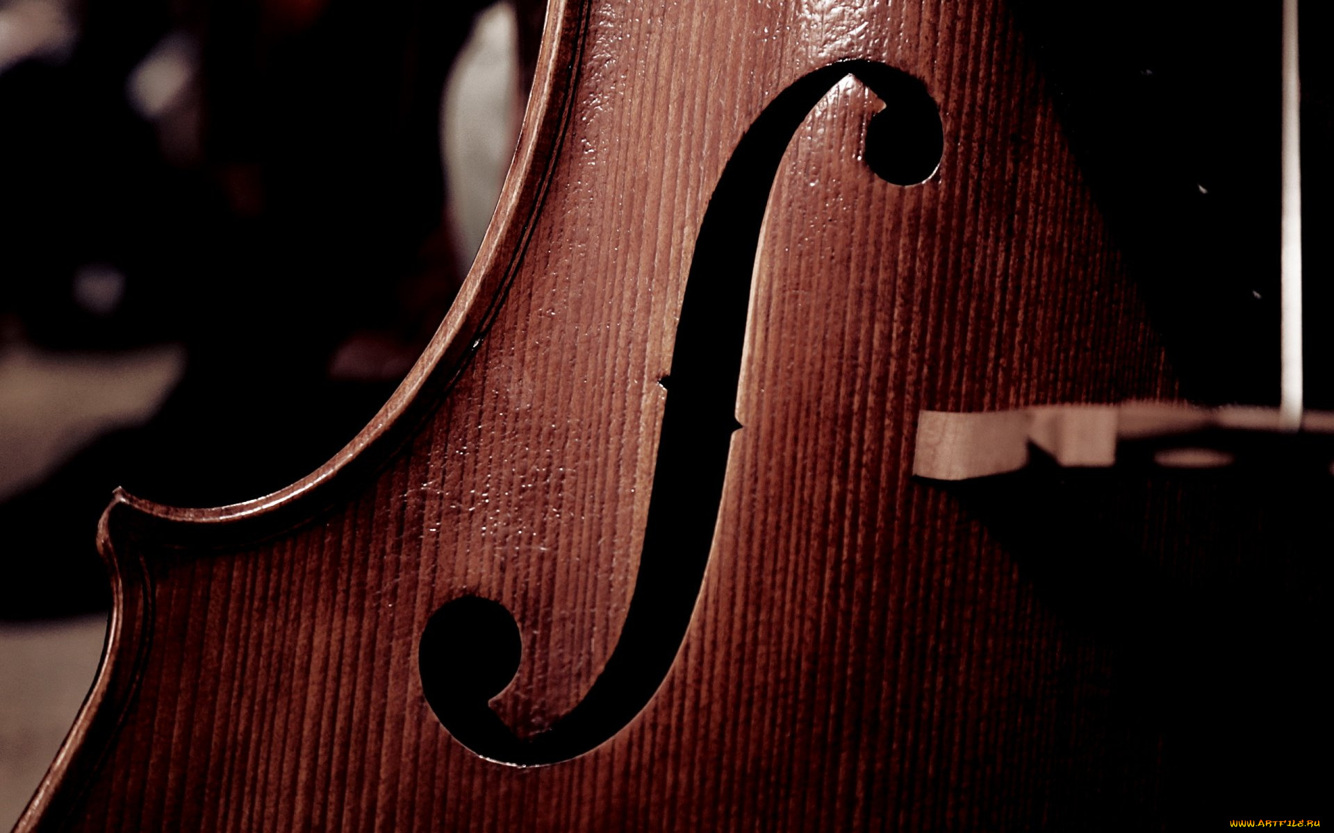 музыка, -музыкальные, инструменты, дека, виолончель