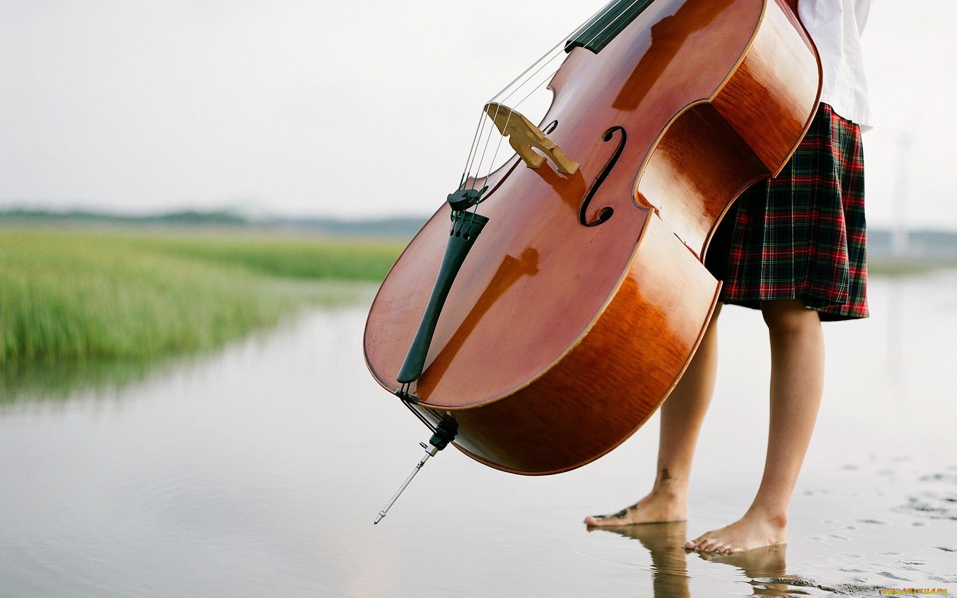музыка, -музыкальные, инструменты, природа, ноги, растения, виолончель, вода, девушка