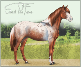 Картинка рисованные животные лошади лошадь