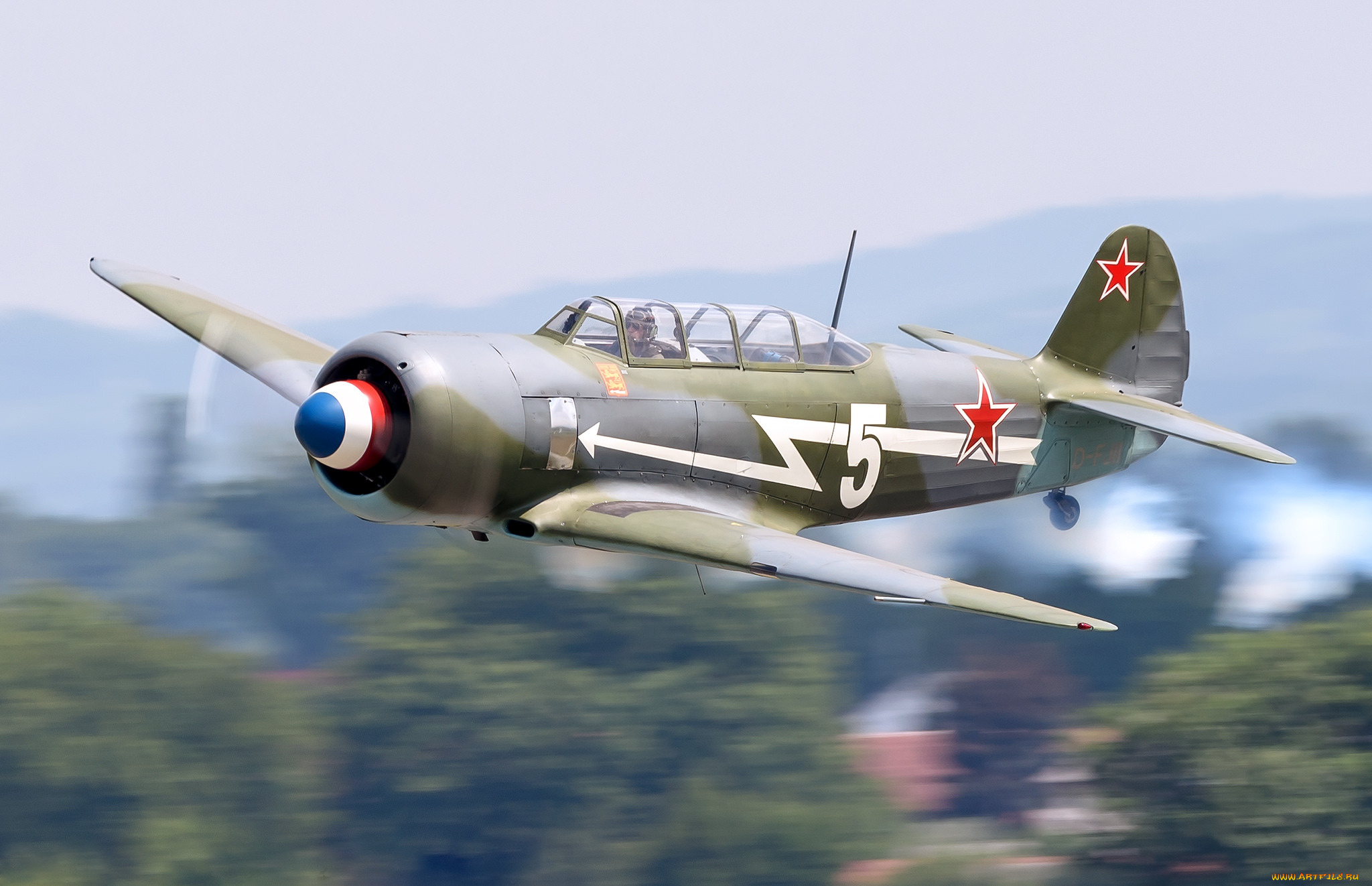 yakovlev, yak-11, d-fjii, авиация, боевые, самолёты, истребитель