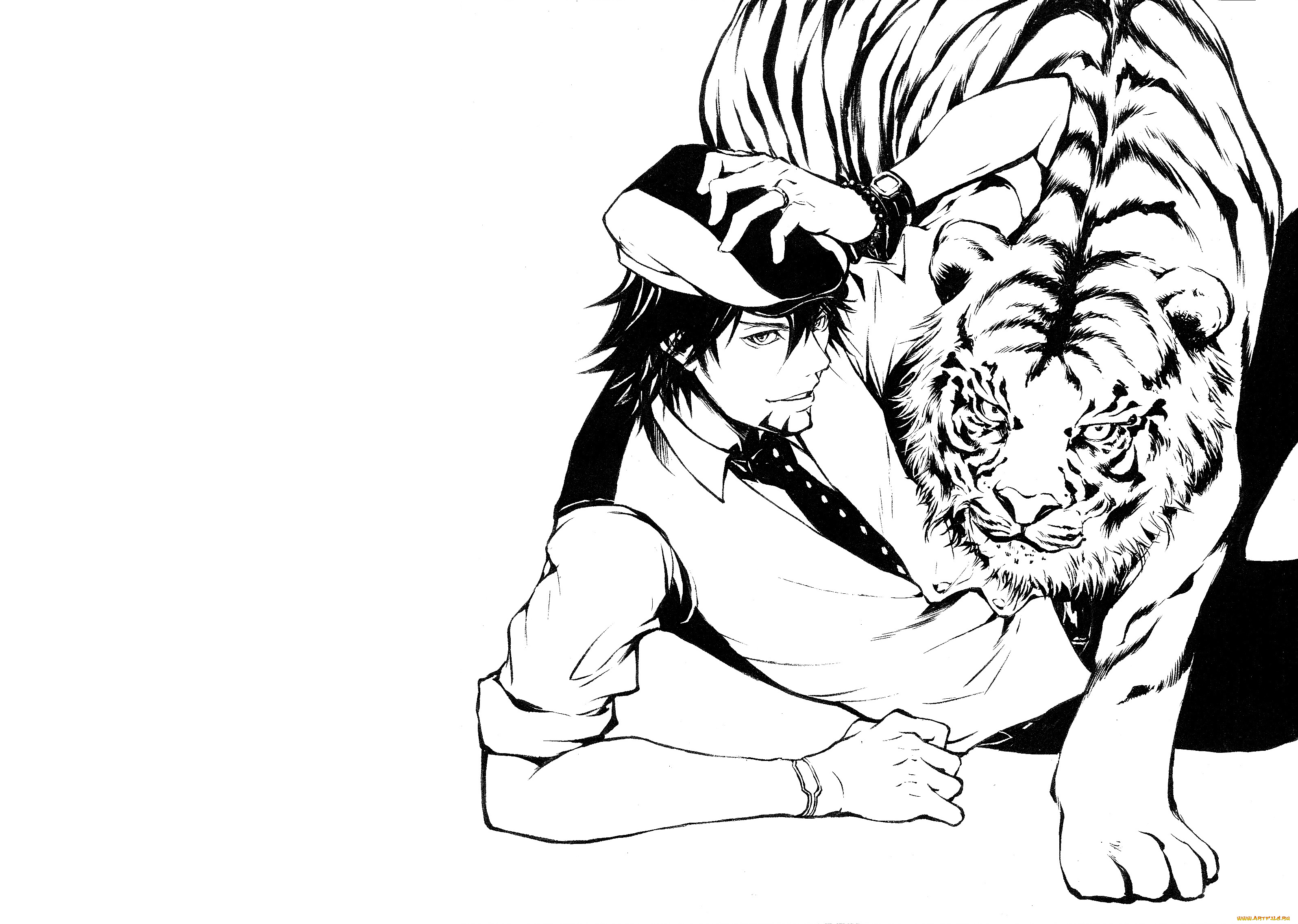 аниме, tiger, and, bunny, kaburagi