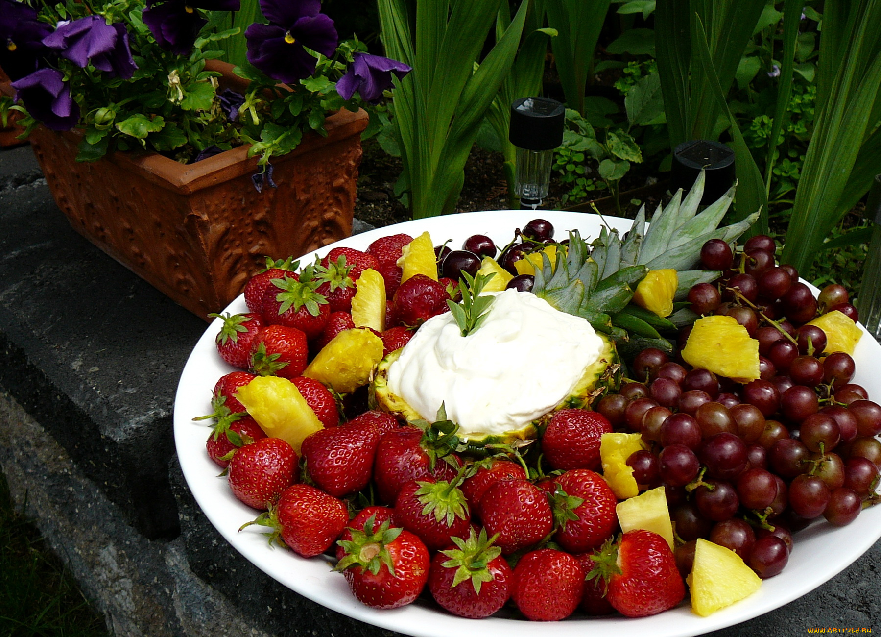еда, фрукты, ягоды, фиалки, сливки, виноград, клубника