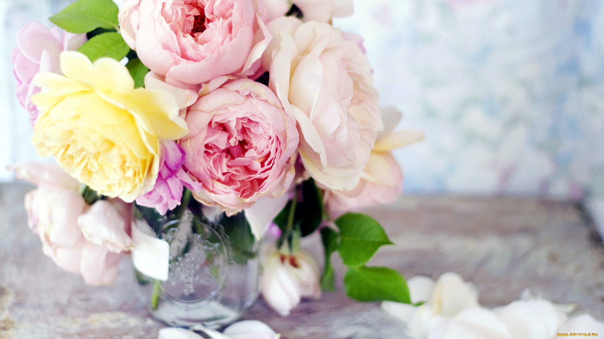 цветы, розы, лепестки, букет, ваза