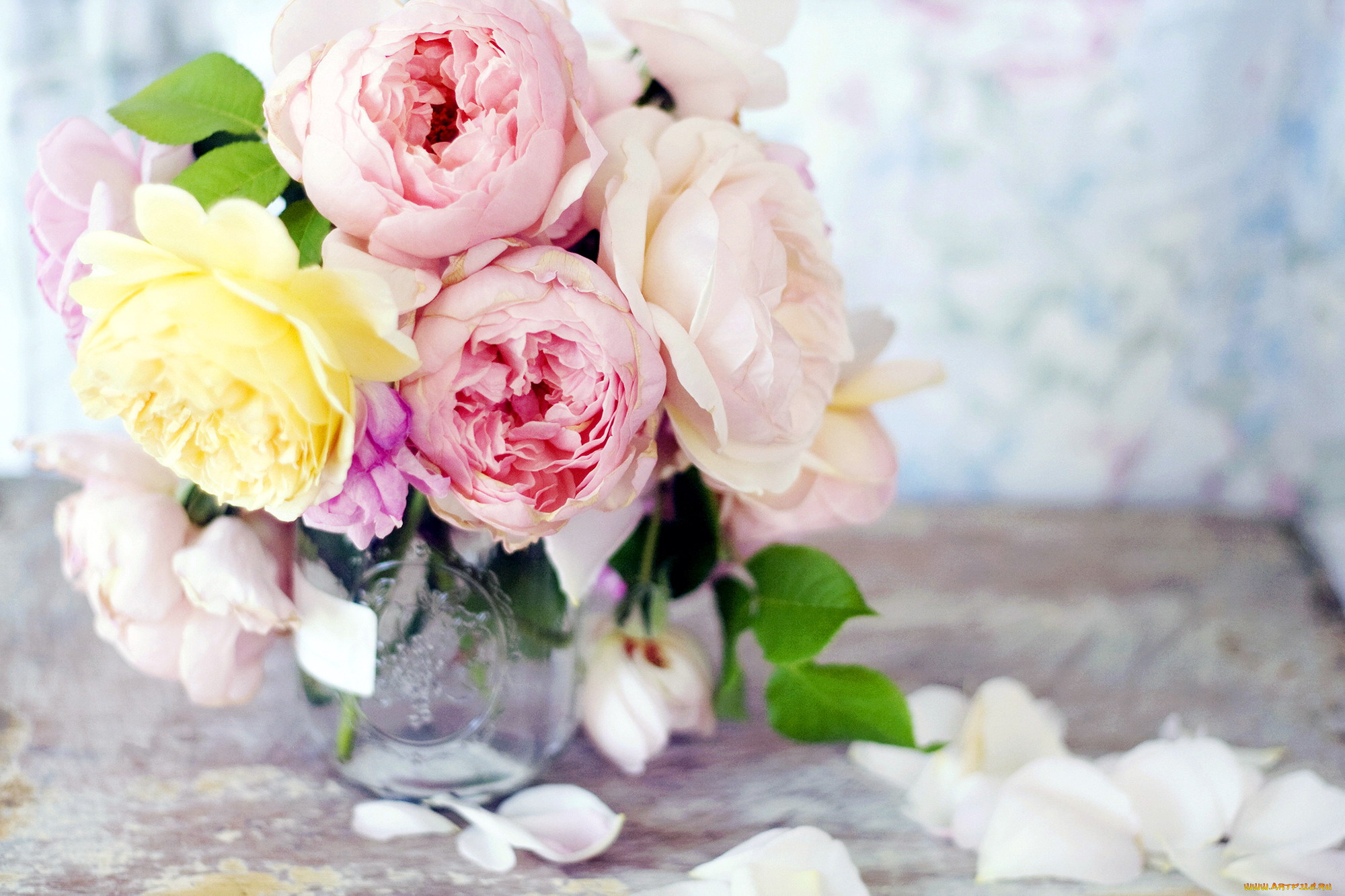 цветы, розы, лепестки, букет, ваза