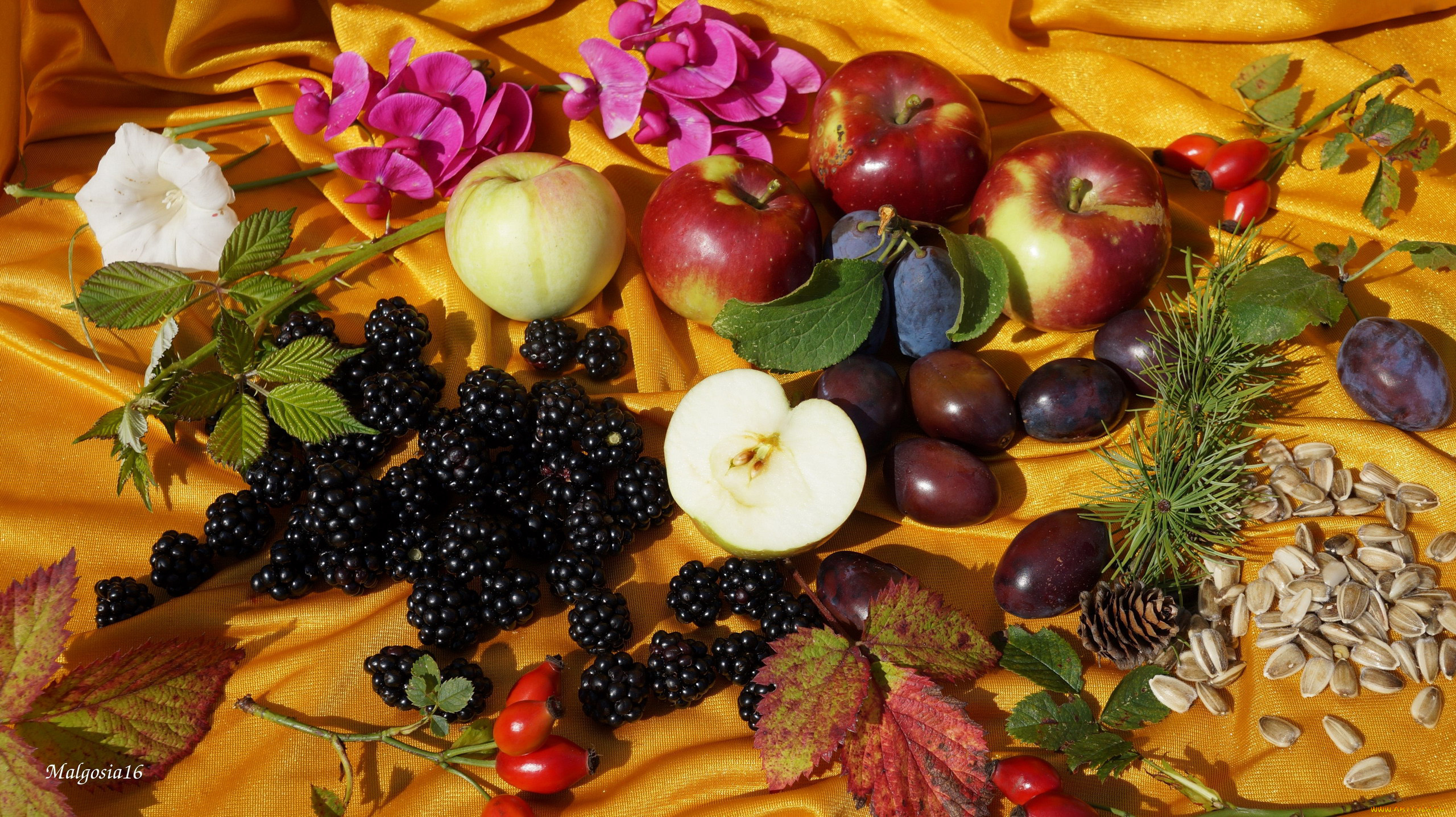 еда, фрукты, , ягоды, ягоды, сливы, ежевика, шиповник