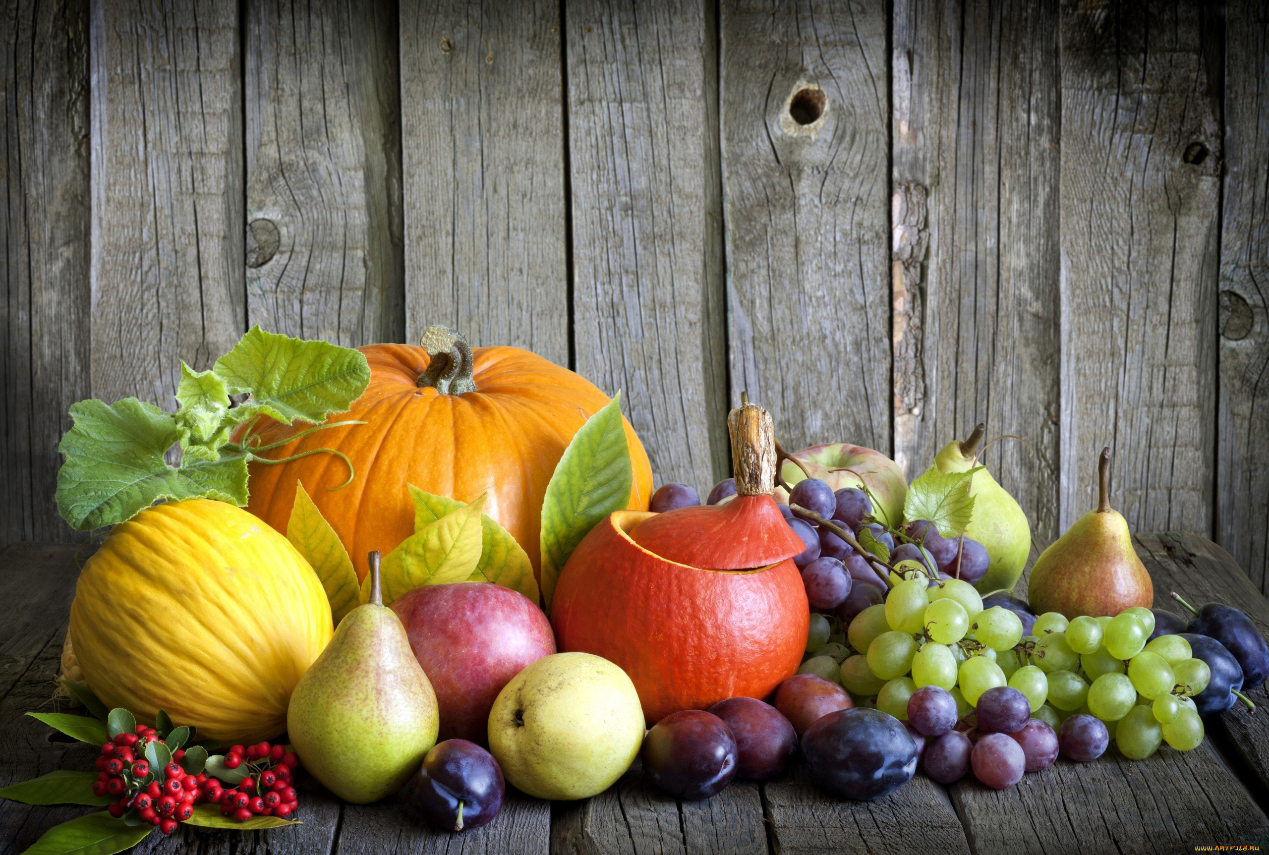 еда, фрукты, и, овощи, вместе, рябина, виноград, сливы, груши, яблоки, тыква