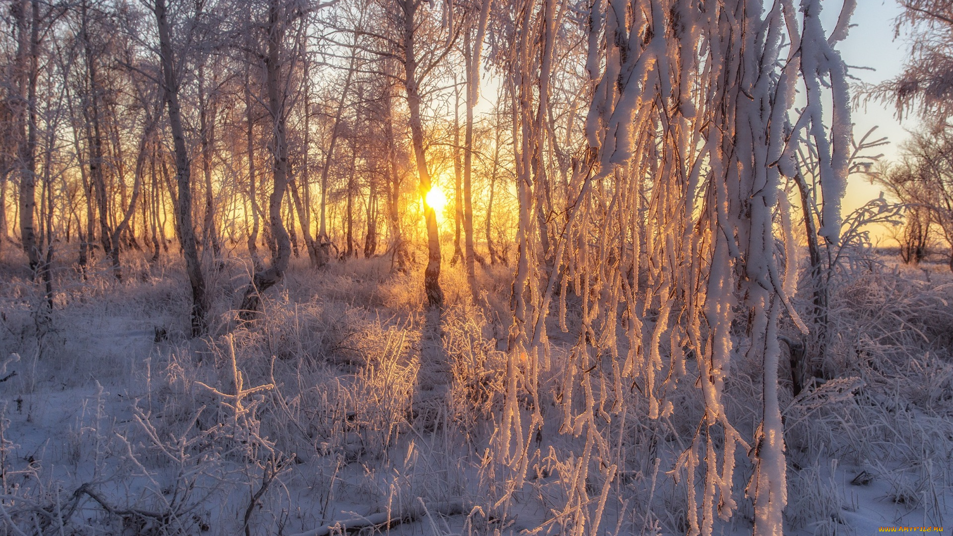 природа, лес, мороз, деревья, лесная, сказка, , i, солнце, снег, иней