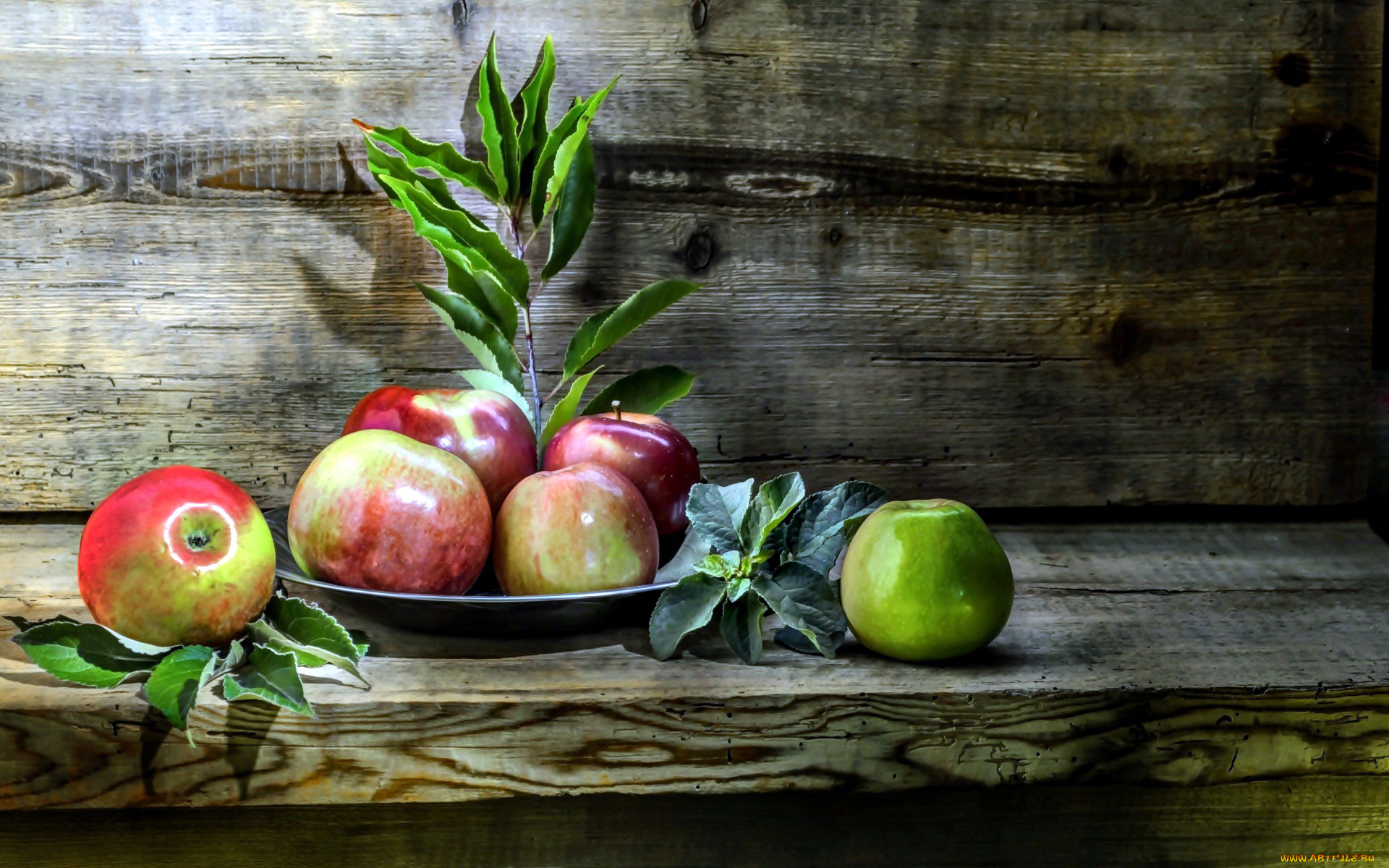 еда, Яблоки, листья, яблоки