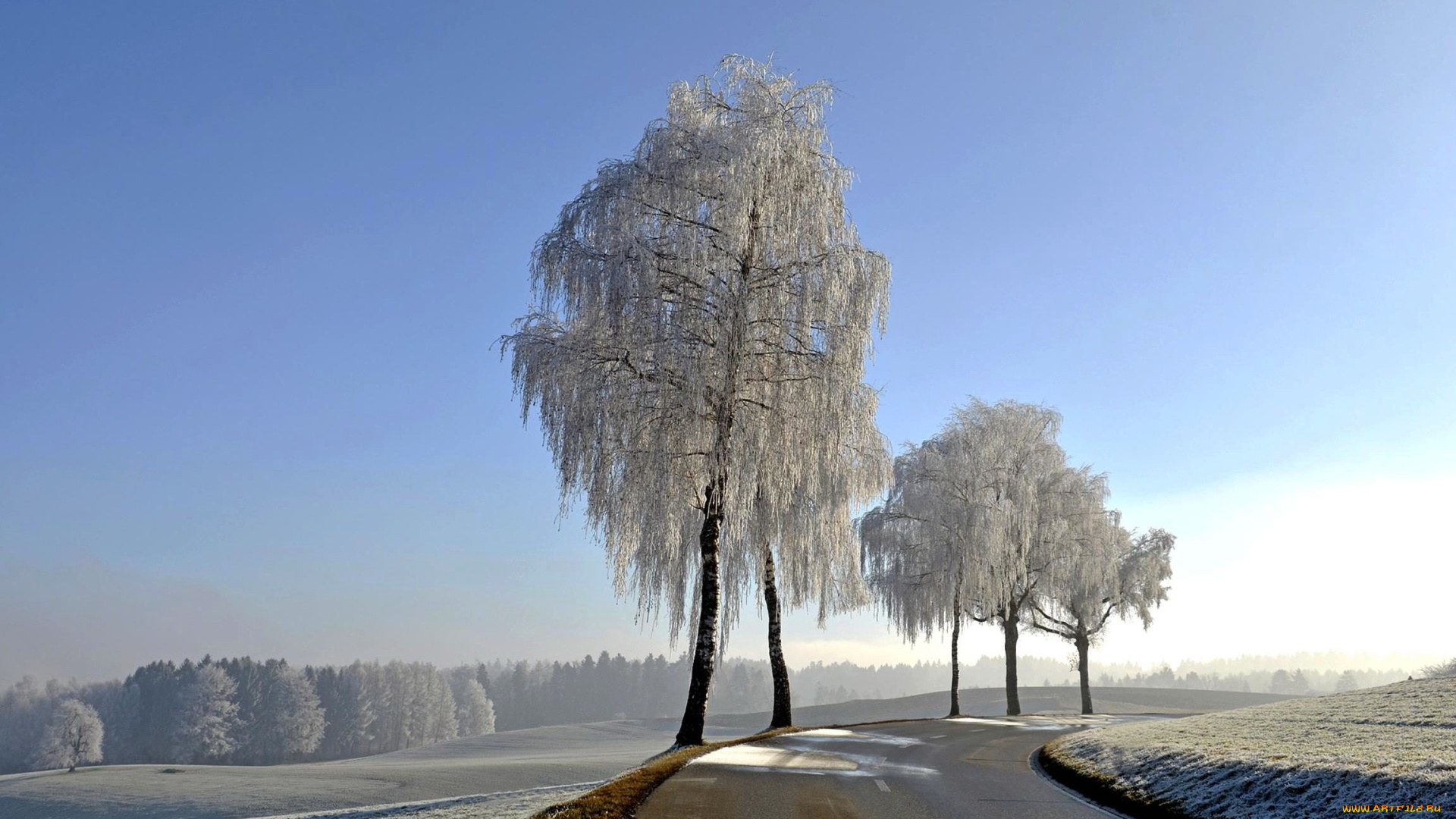 природа, дороги, зима, шоссе, деревья, снег