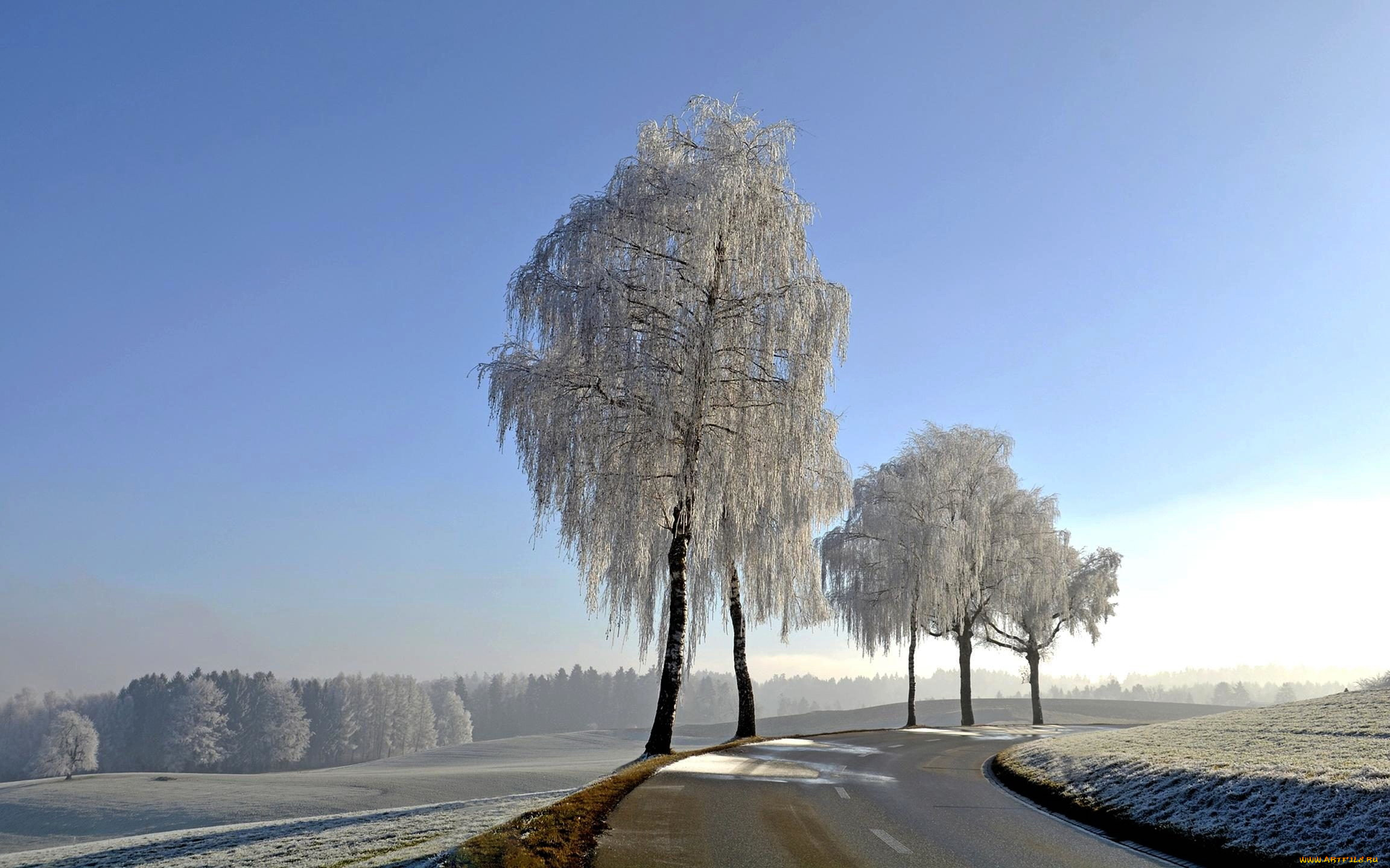 природа, дороги, зима, шоссе, деревья, снег