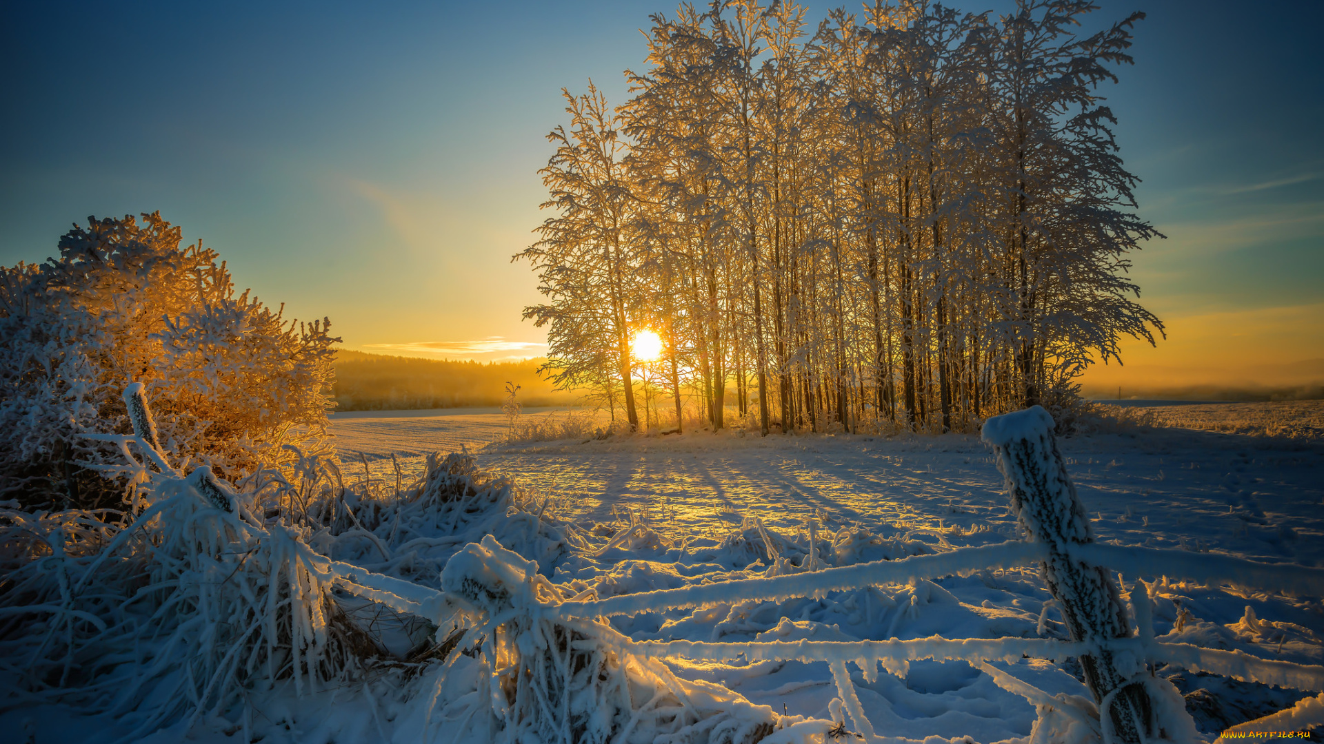 природа, зима, снег, утро, покосившийся, забор, деревья, солнце, восход