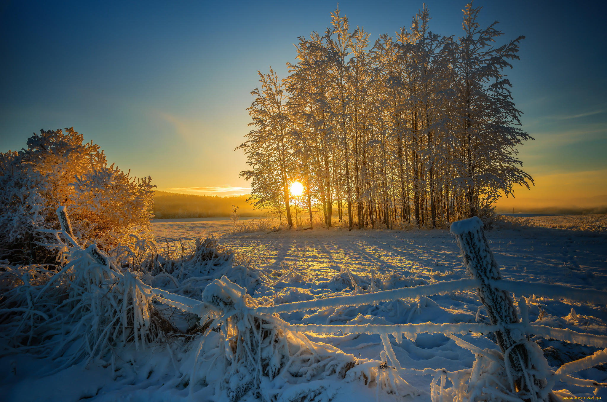 природа, зима, снег, утро, покосившийся, забор, деревья, солнце, восход