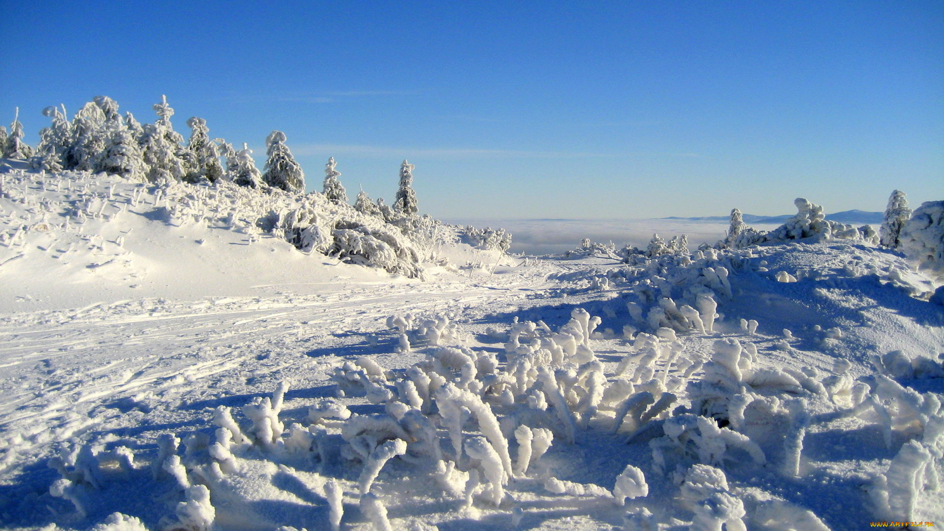 природа, зима, снег, деревья, дорога