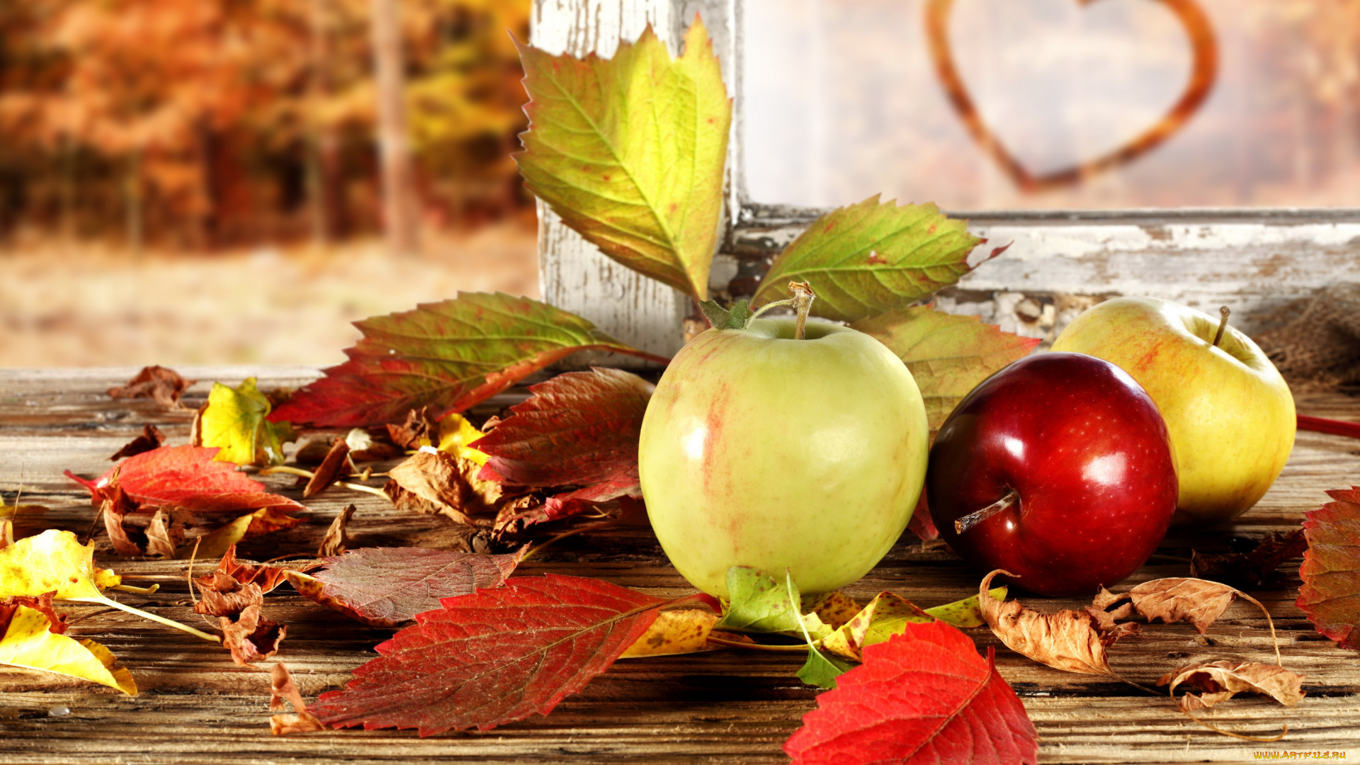 еда, Яблоки, листья, осень