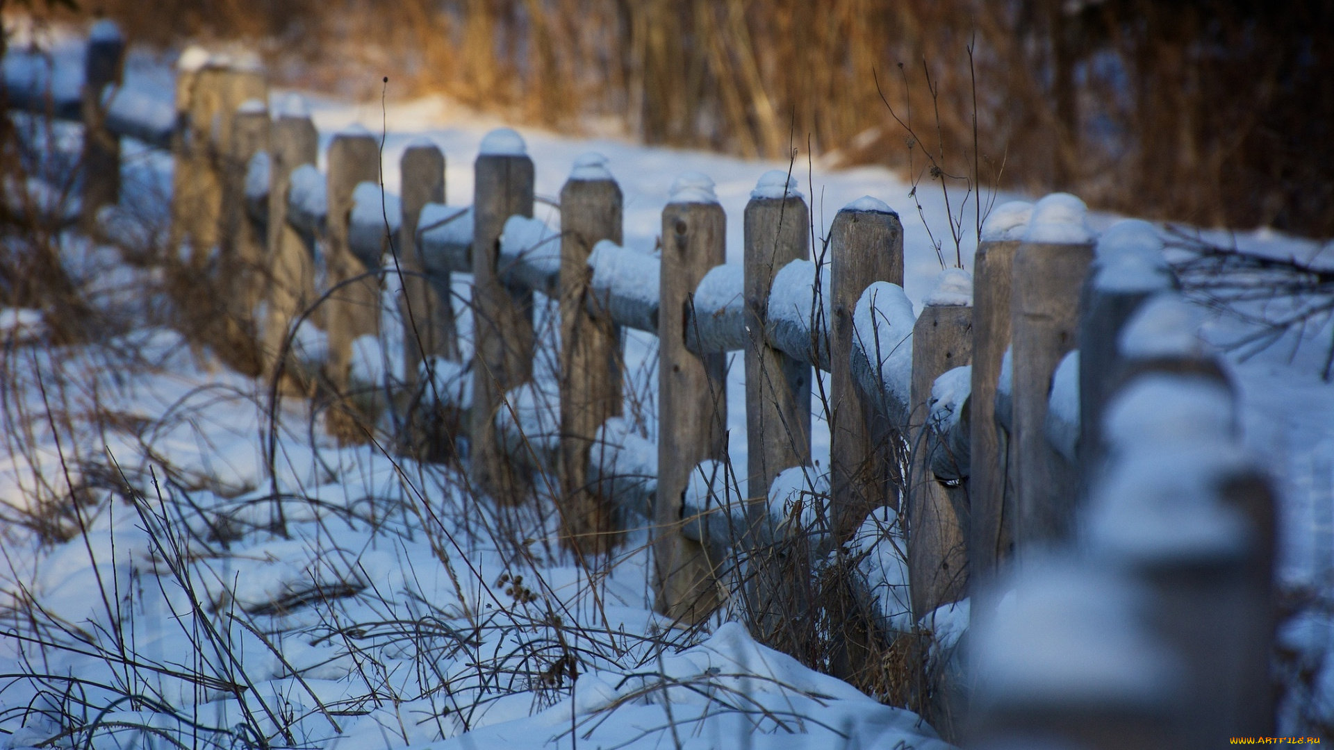 природа, зима, ограда, забор, трава, снег