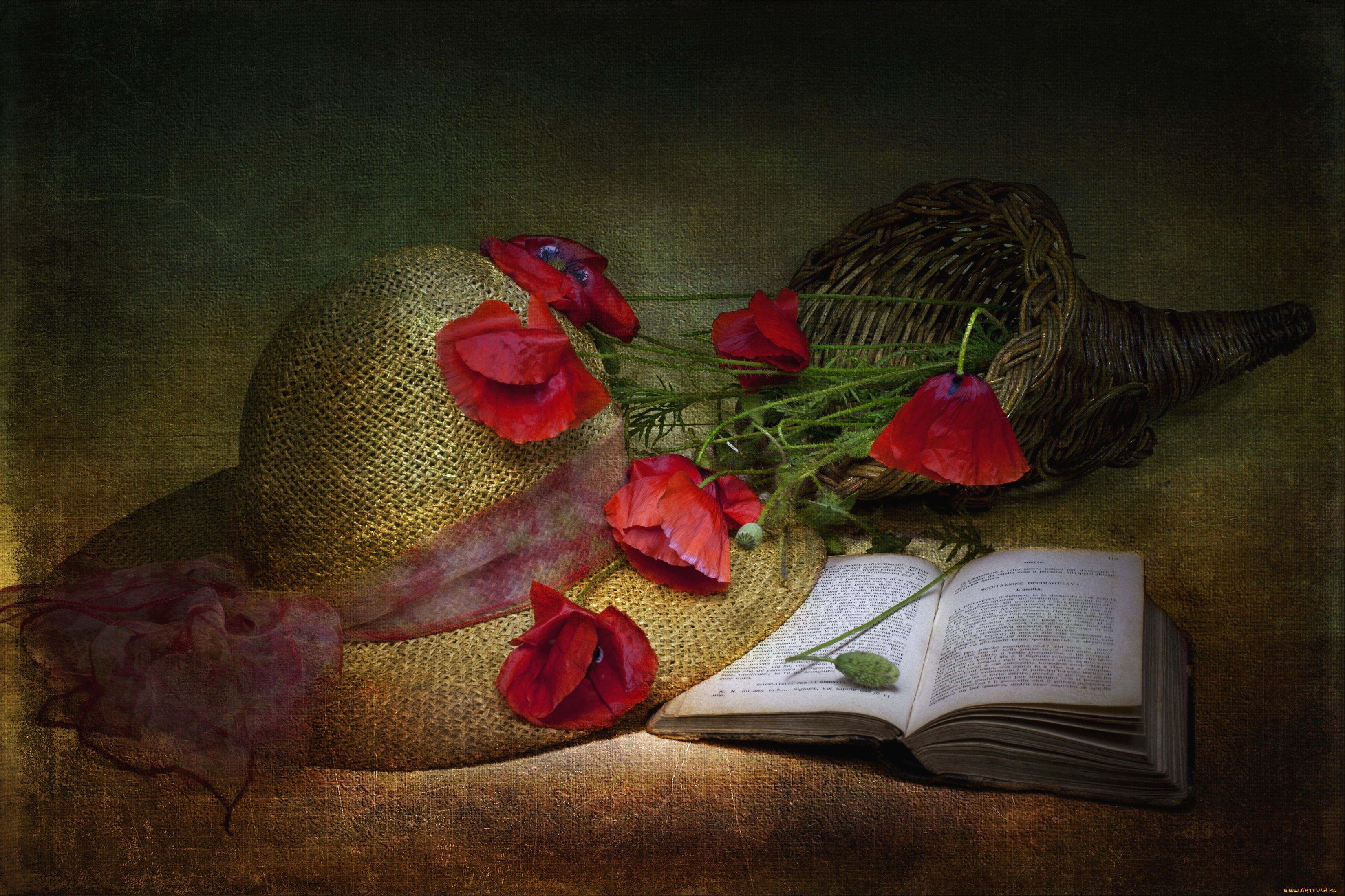цветы, маки, шляпа, книга