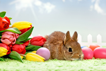 Картинка животные кролики зайцы яйца крашенки пасха тюльпаны кролик