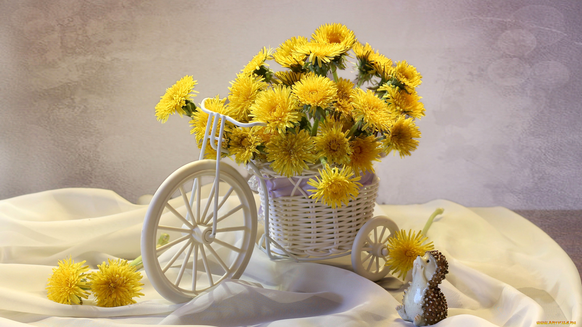 цветы, одуванчики, желтый, ежик, тачка