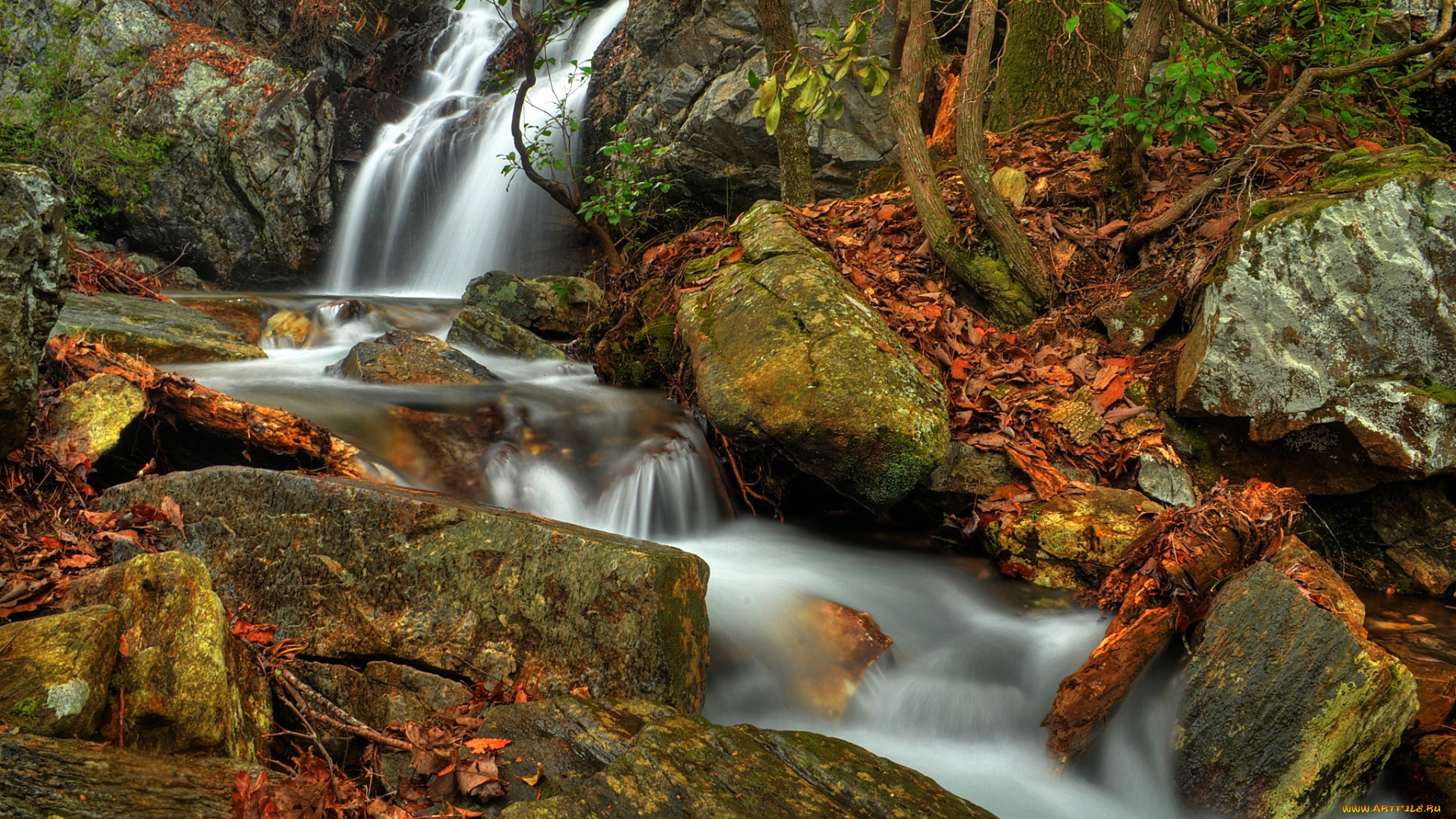 природа, водопады, листья, поток