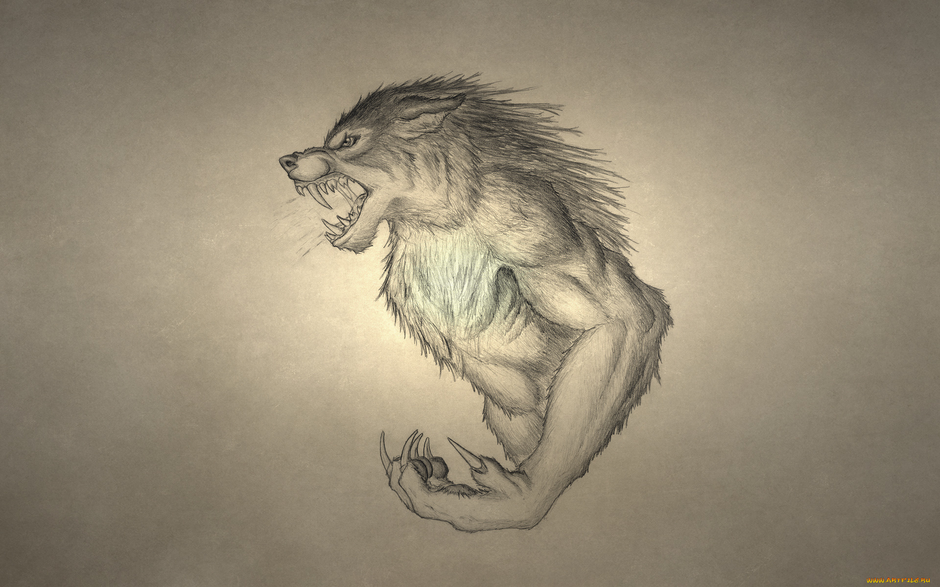 рисованные, минимализм, волк, рычит, werewolf, оборотень, wolf