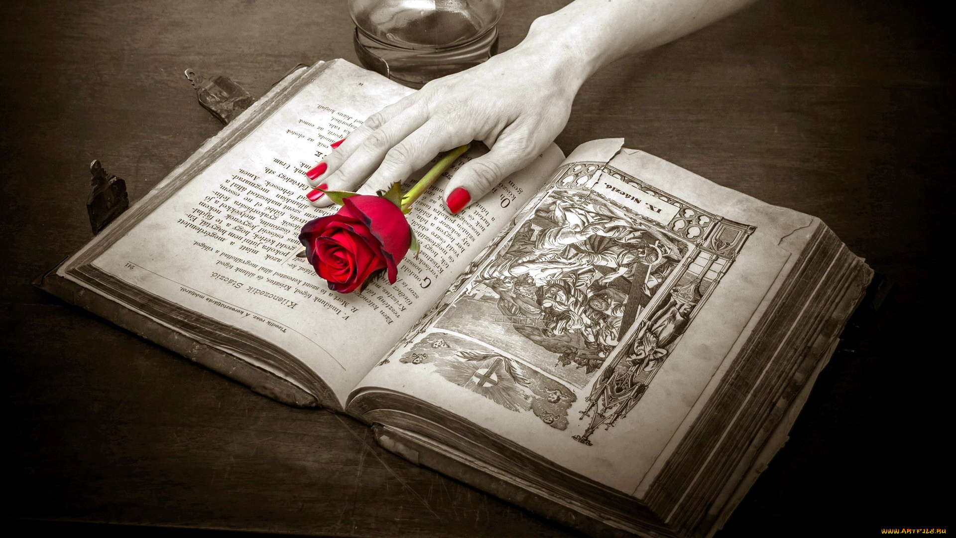 разное, руки, роза, книга, лампа
