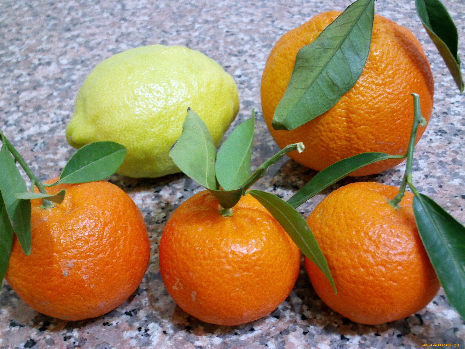 еда, цитрусы, апельсины, лимон