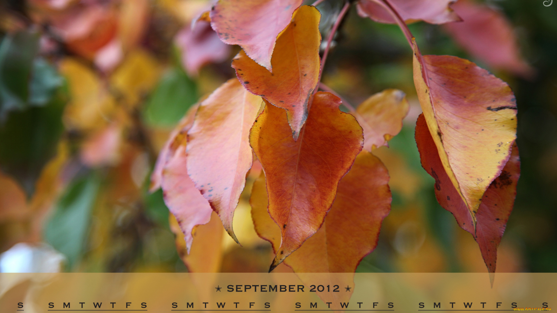 календари, природа, листья, осень