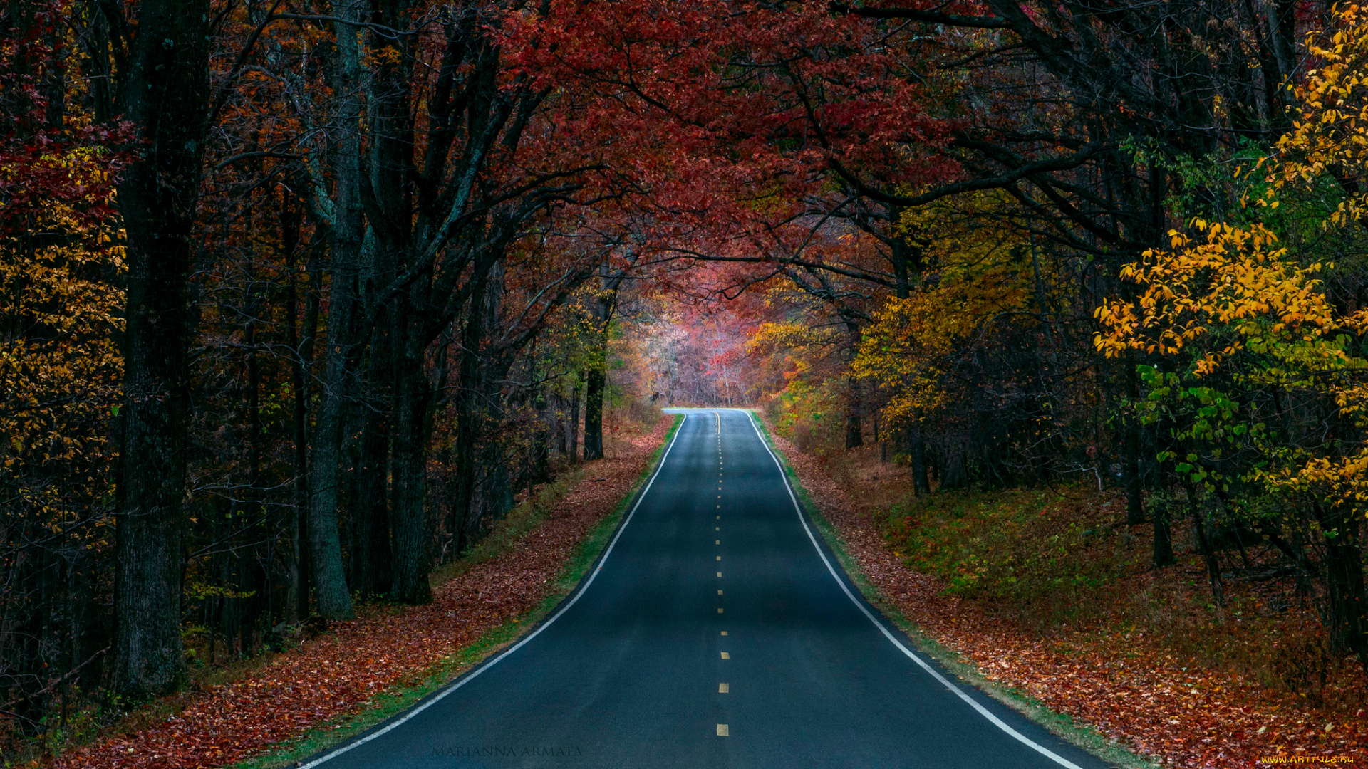 природа, дороги, дорога, краски, деревья, лес, осень